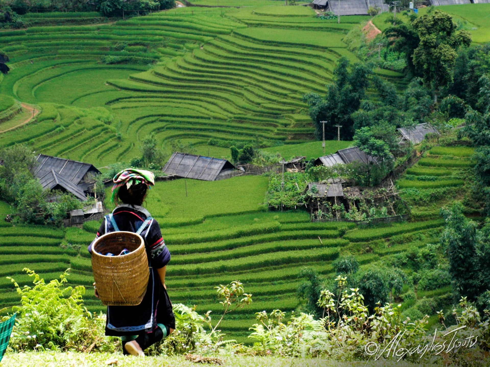 Αλέξανδρος Τσούτης