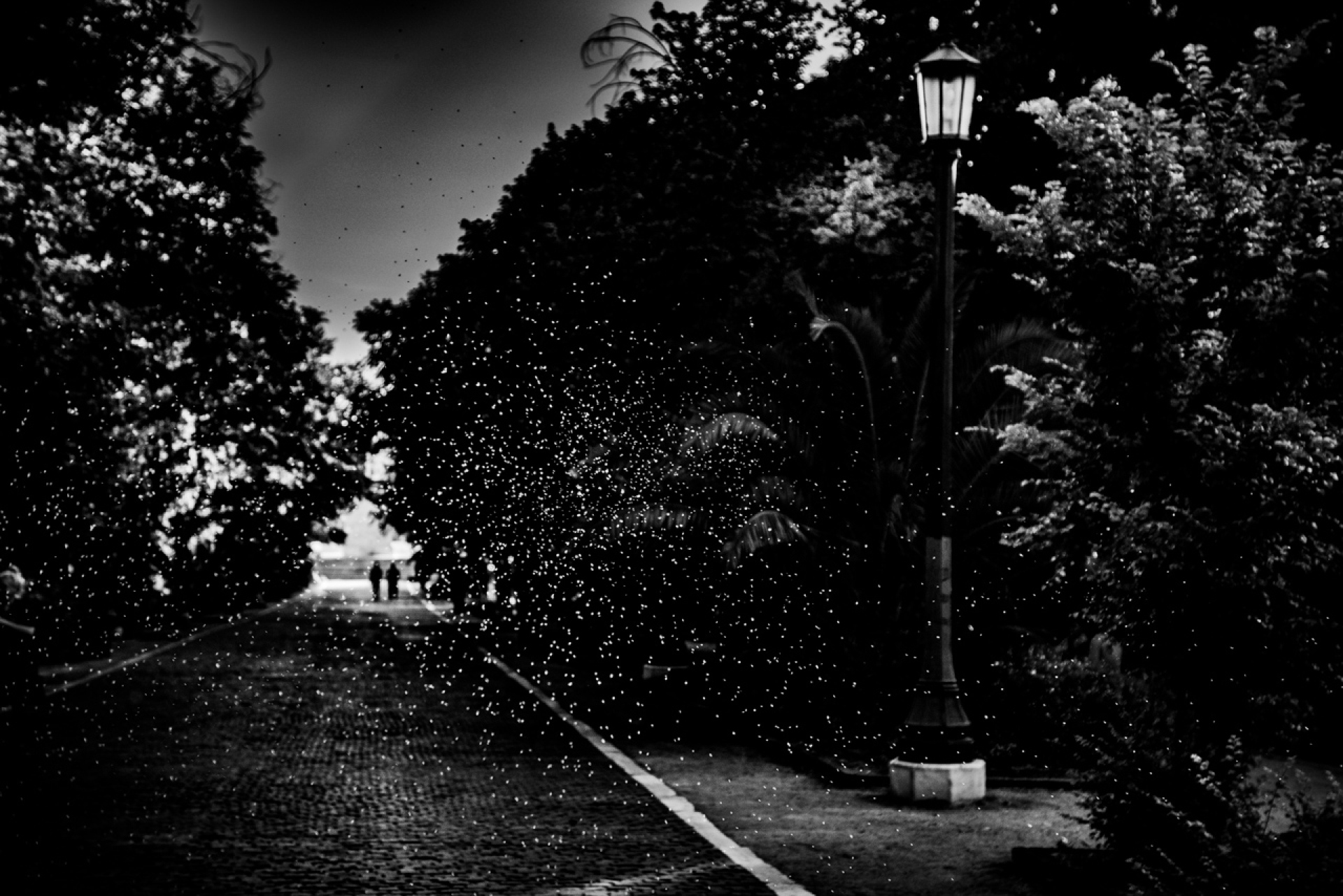 Πεδίον του Άρεως