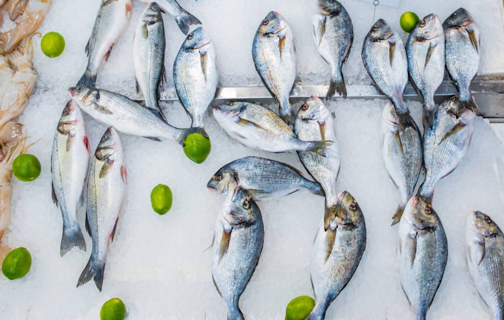 Φρέσκια ψάρια