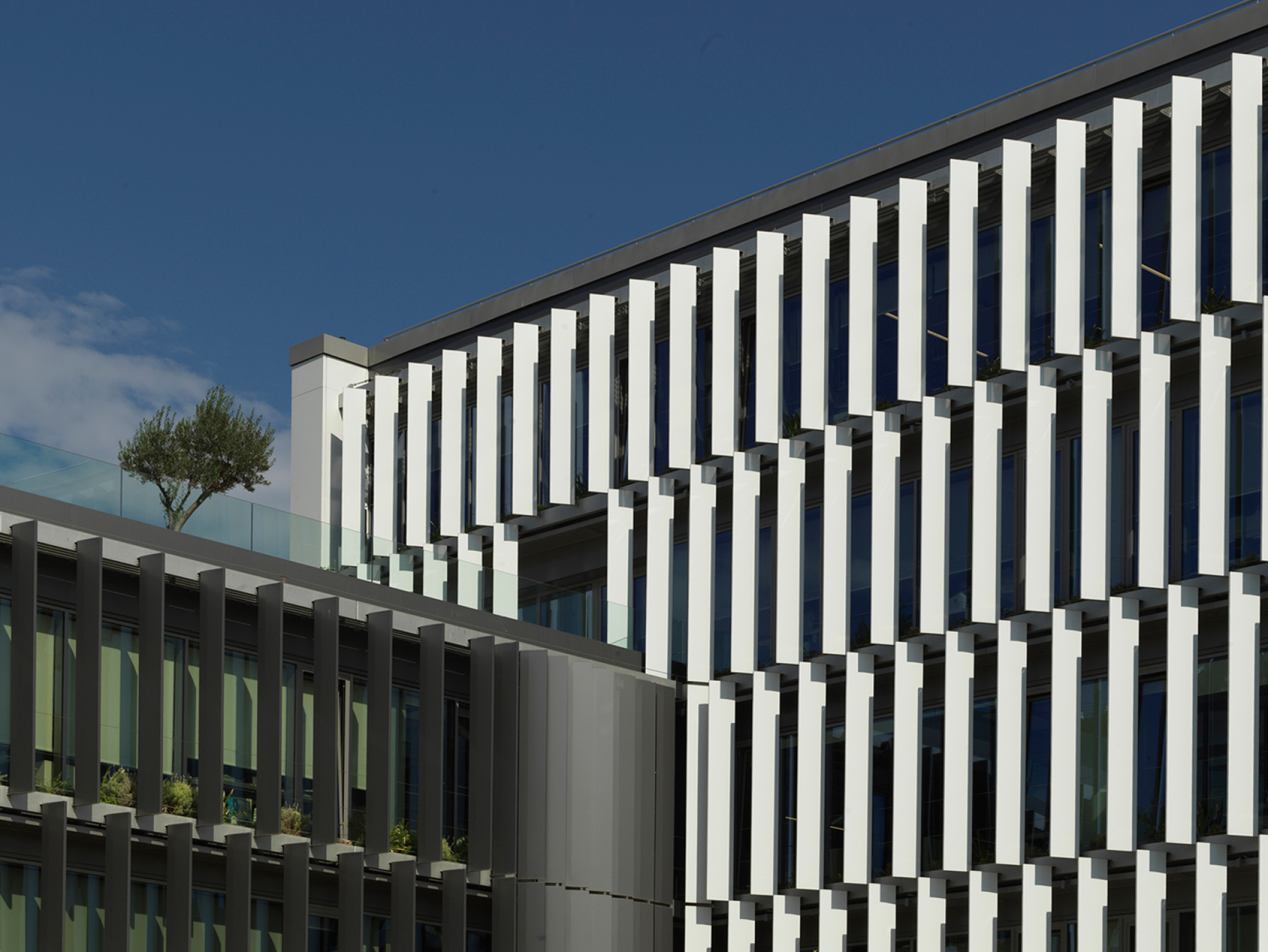 Το πράσινο κτήριο γραφείων Butterfly