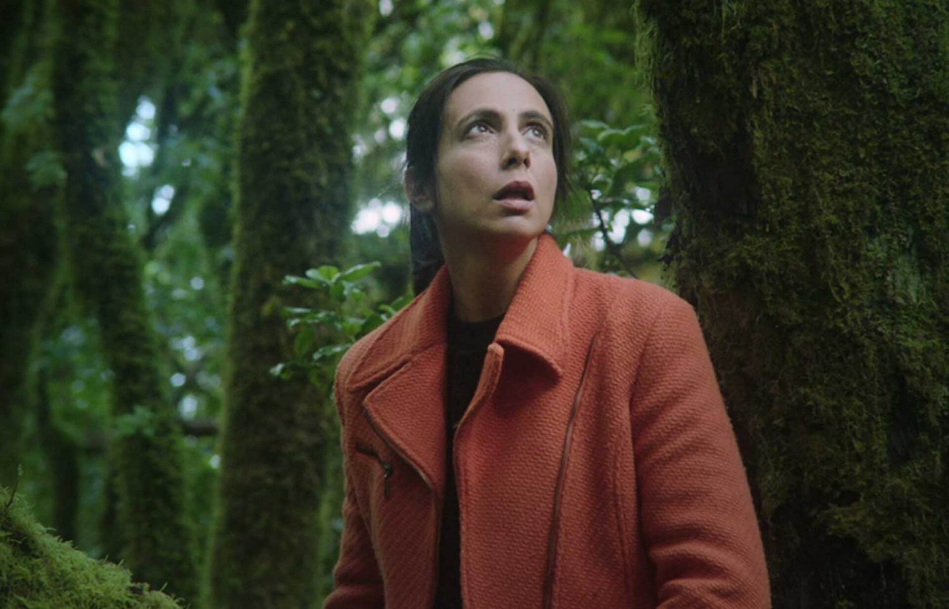 60ό Φεστιβάλ Θεσσαλονίκης / «Ξεπερνώντας τα σύνορα» / «Common birds»