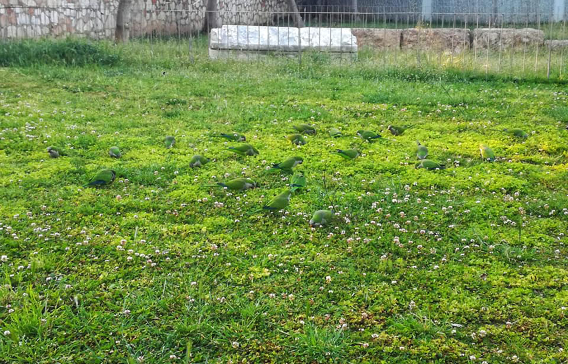 Πάρκο Ριζάρη