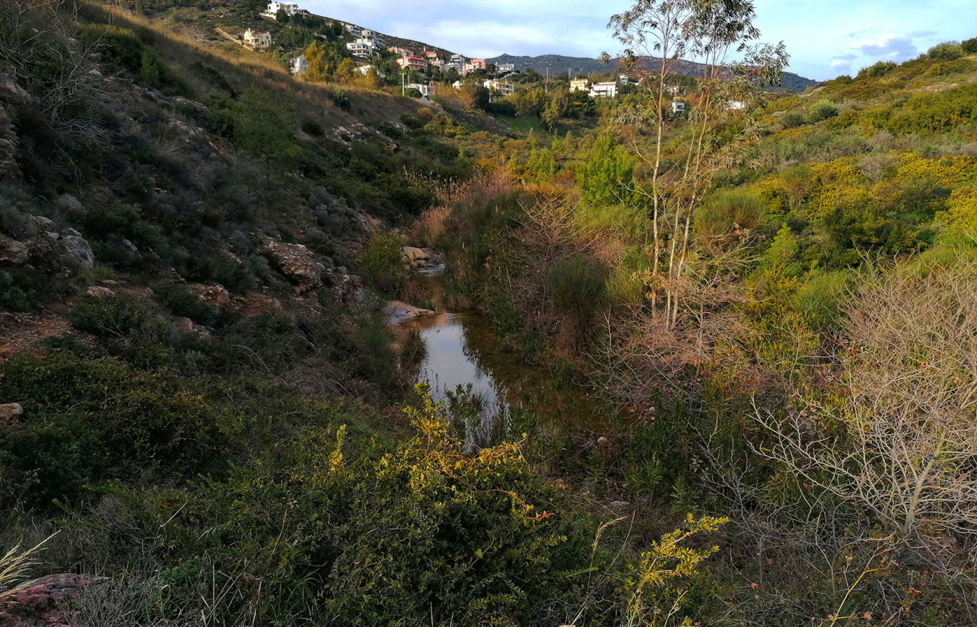 Το ρέμα Βαλανάρη στο Ντράφι