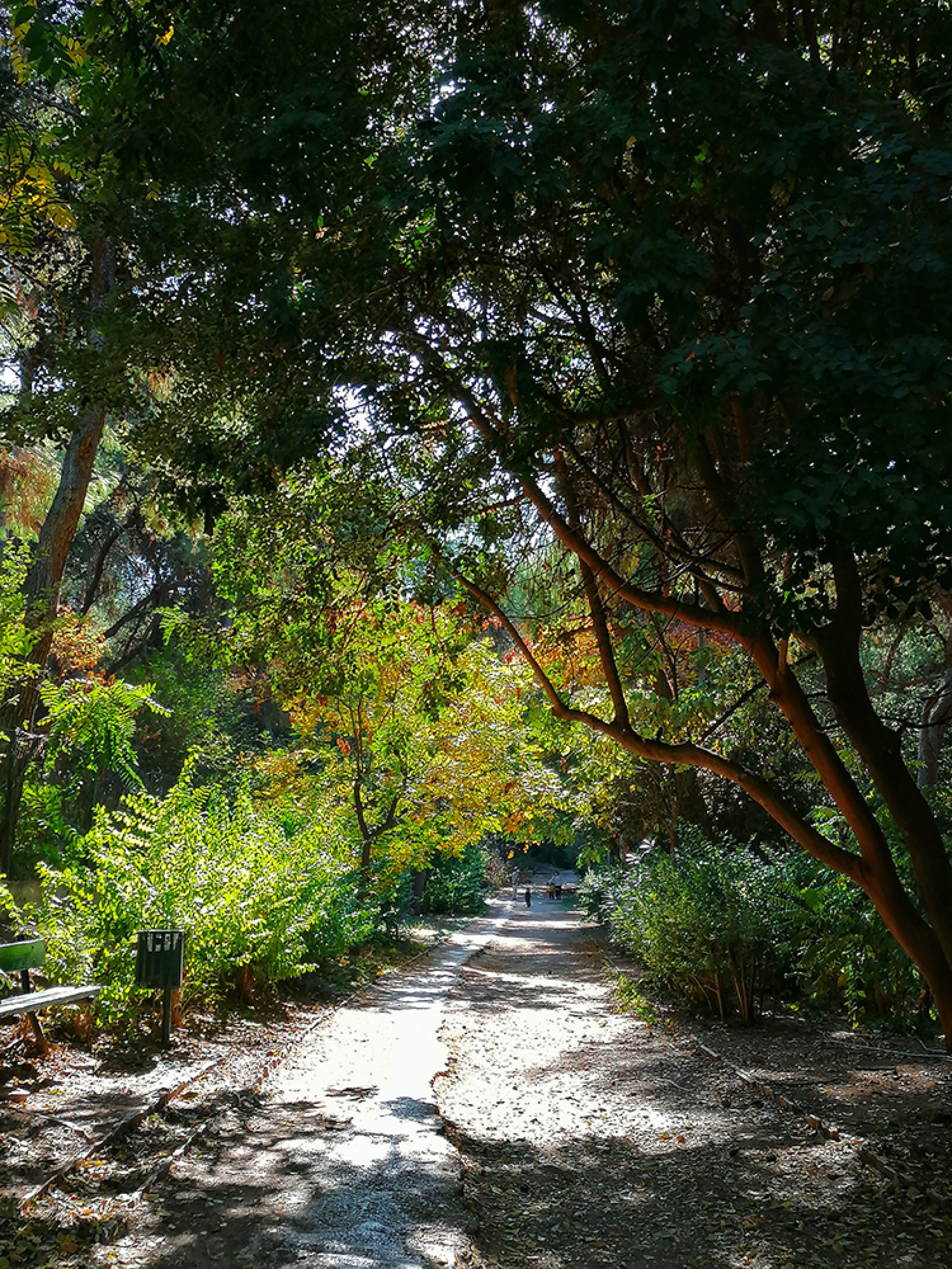 Πάρκο Ιλισίων