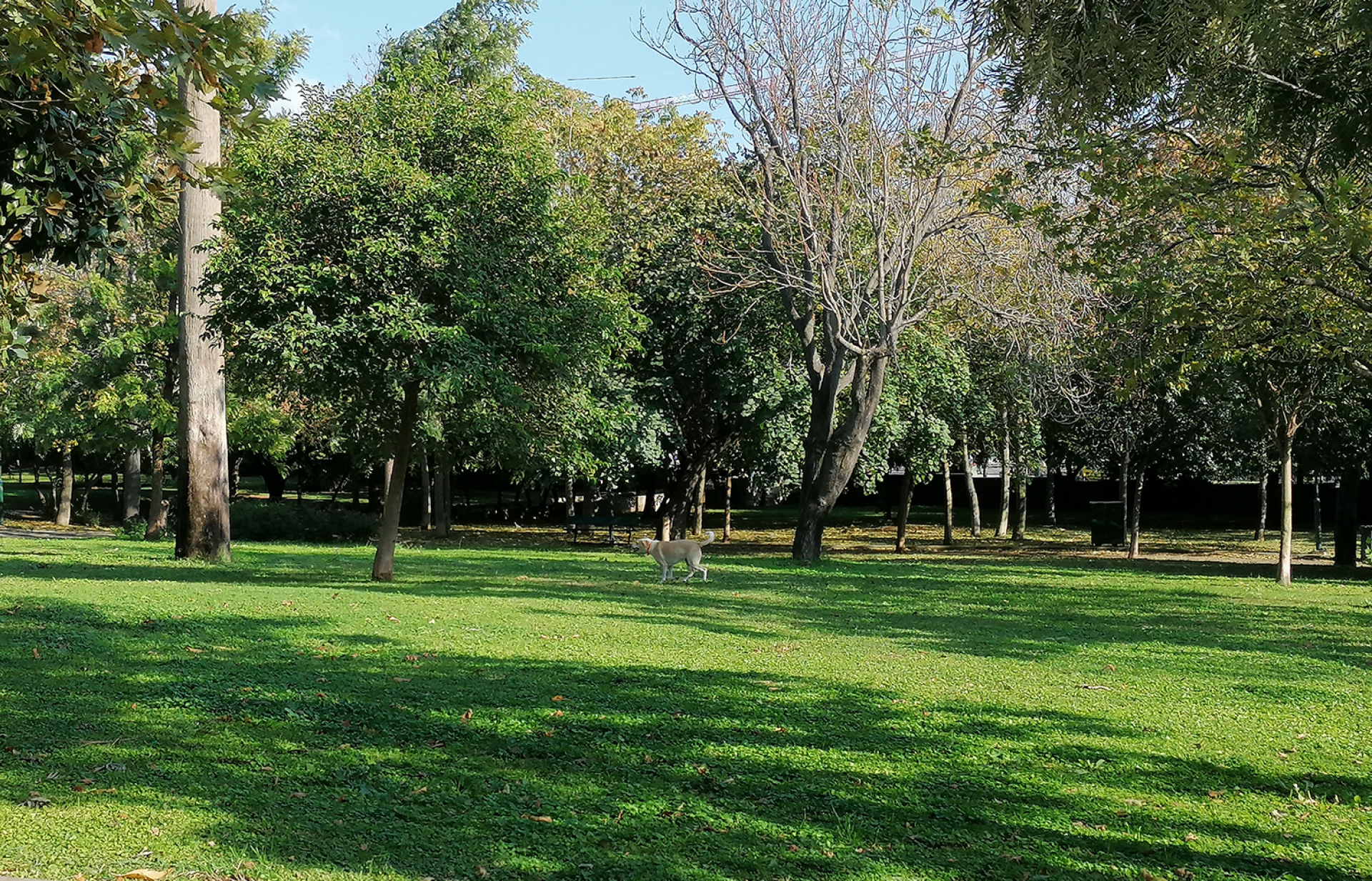 Πάρκο Ριζάρη