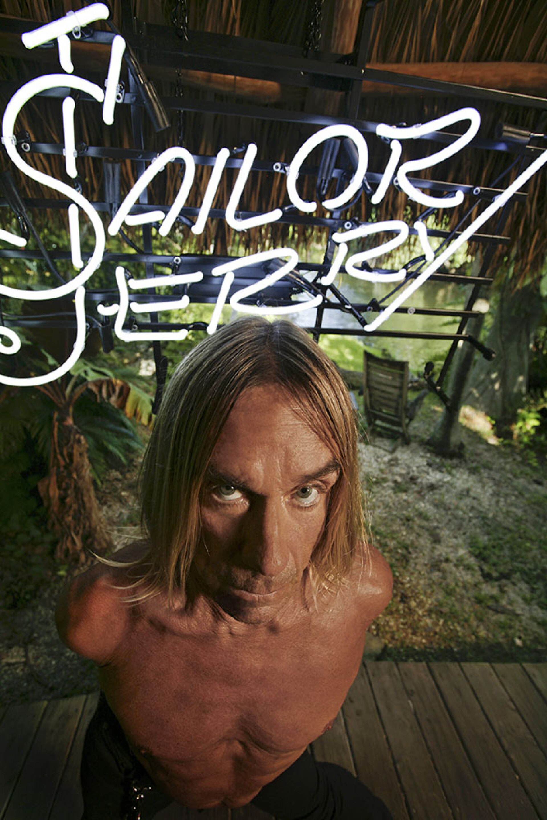 Iggy Pop Flash Collection