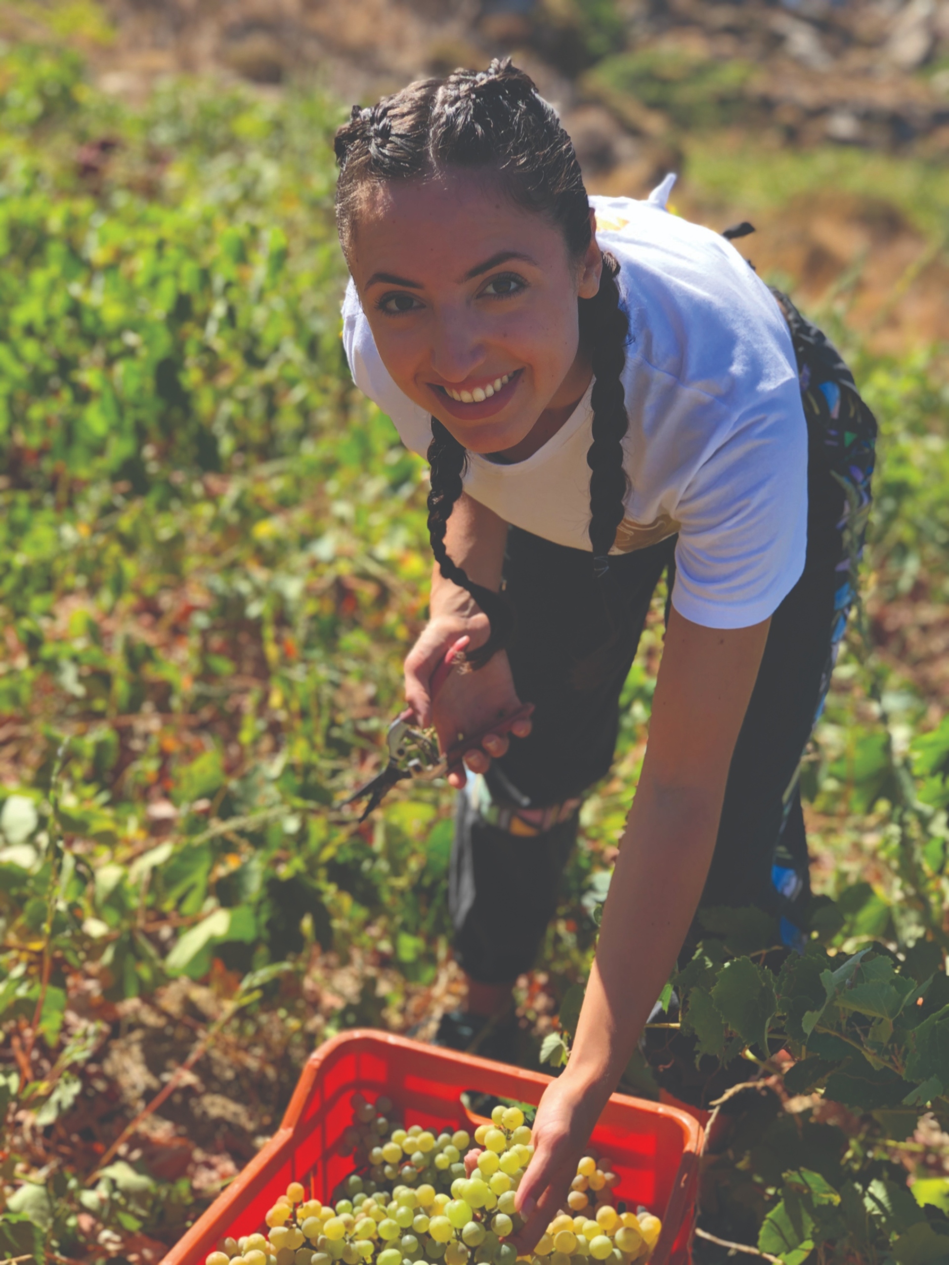 Ηλιάνα Καρίμαλη