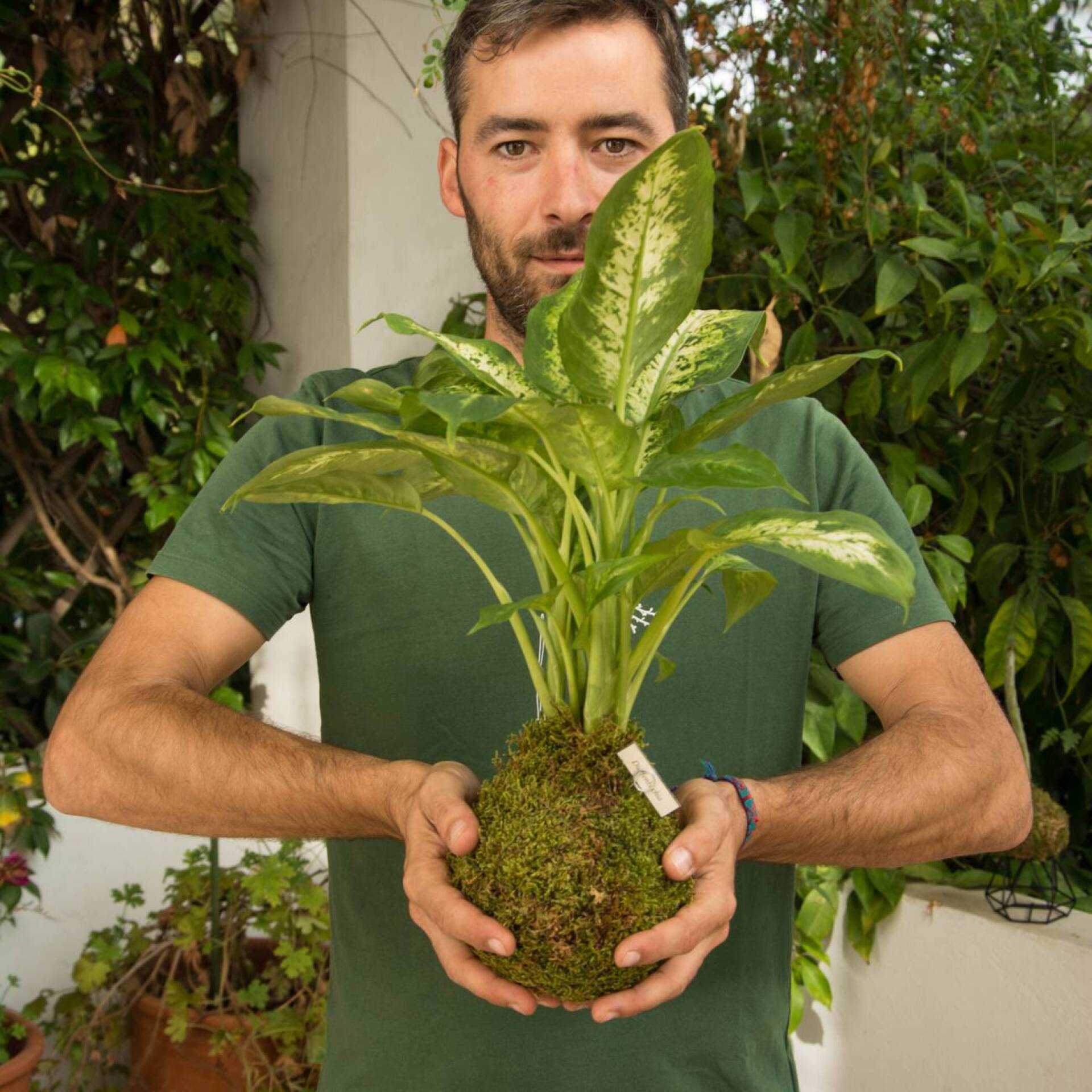kokedama_fyta_8_of_149.jpg