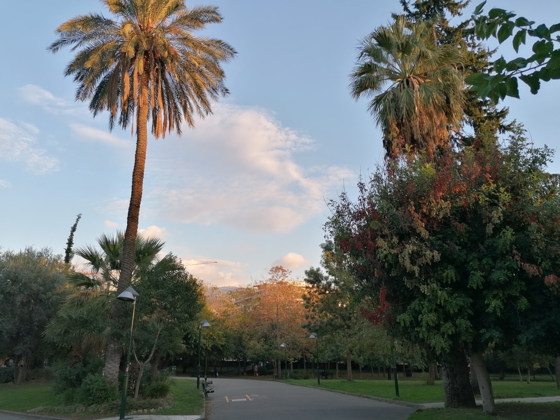 Πάρκο Ριζάρη