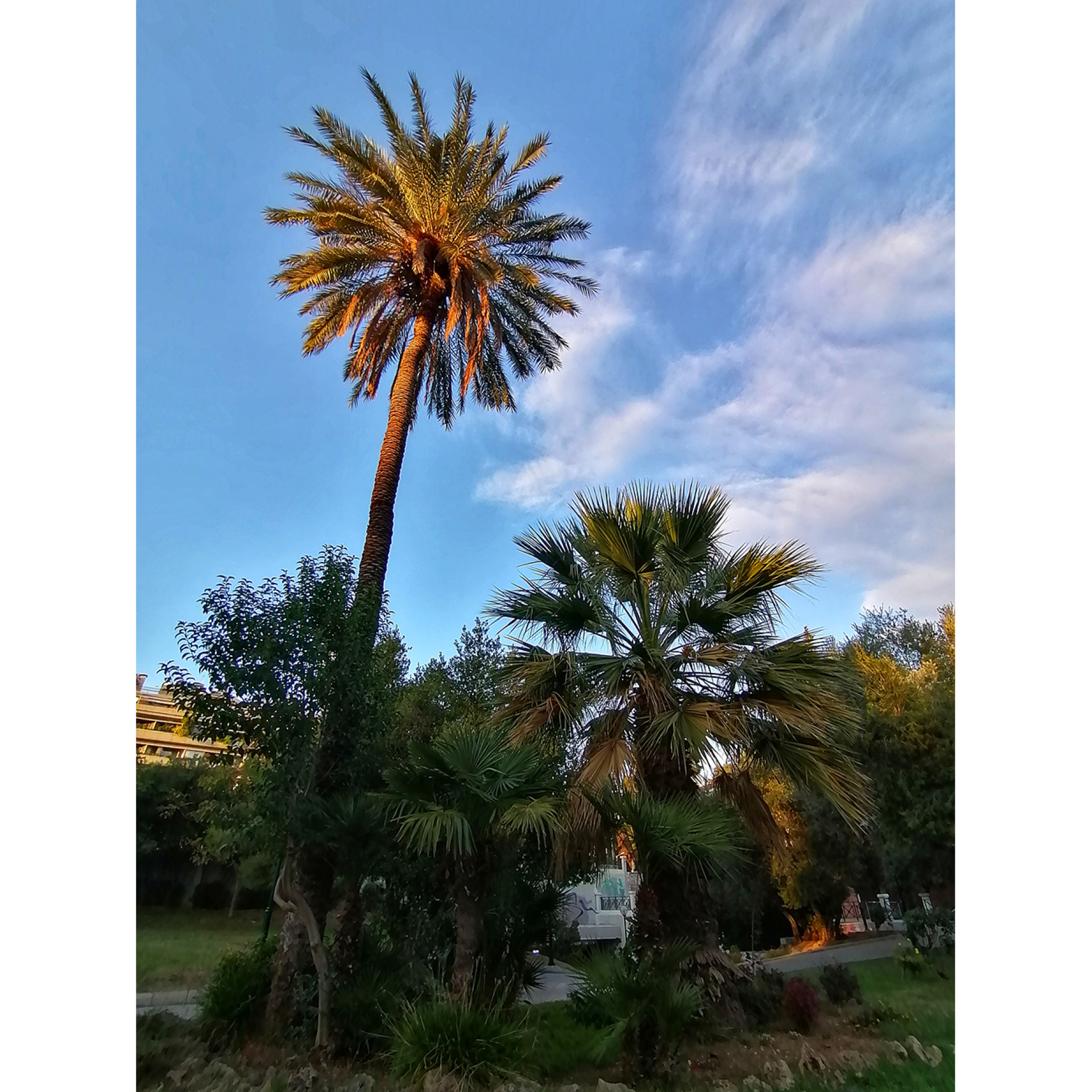 Πάρκο Ριζάρη