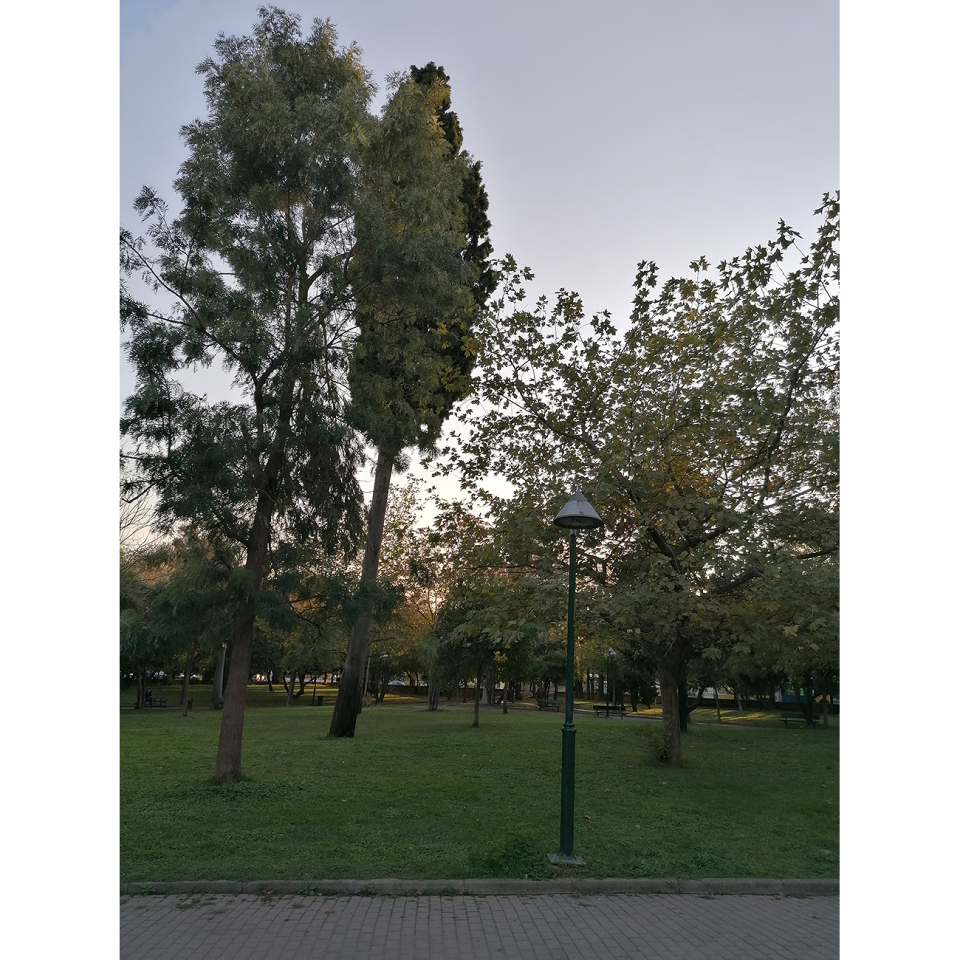 Πάρκο Ριζάρη