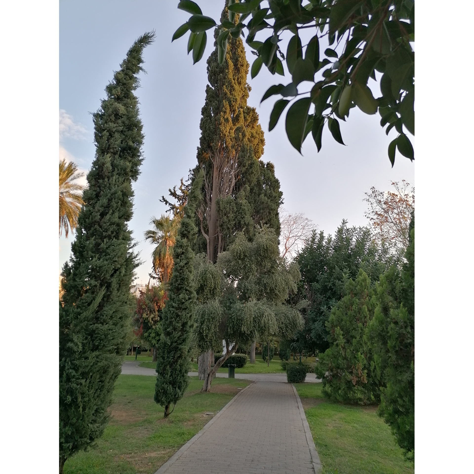 Πάρκο Ριζάρη