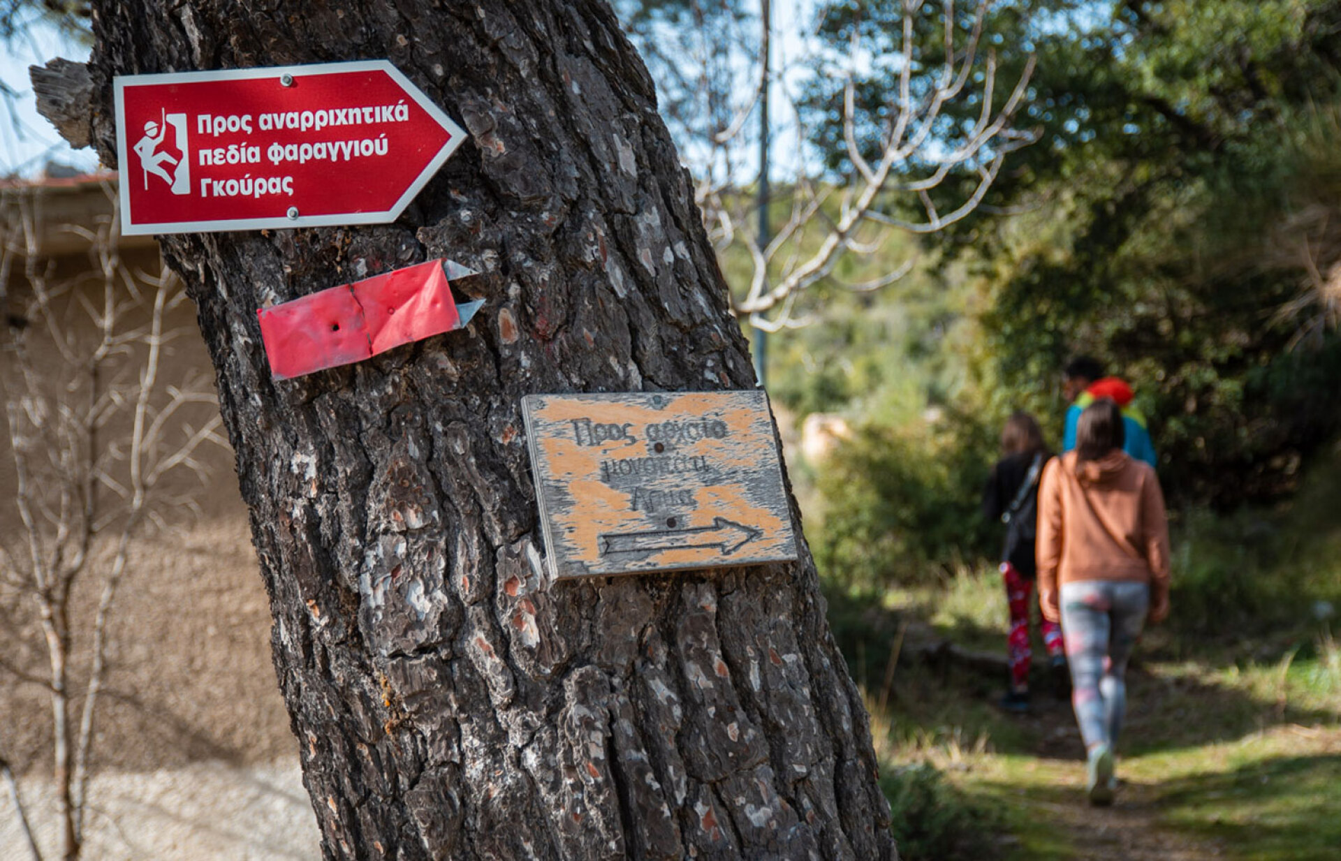 Ανακαλύπτοντας το βουνό της Καραντίνας