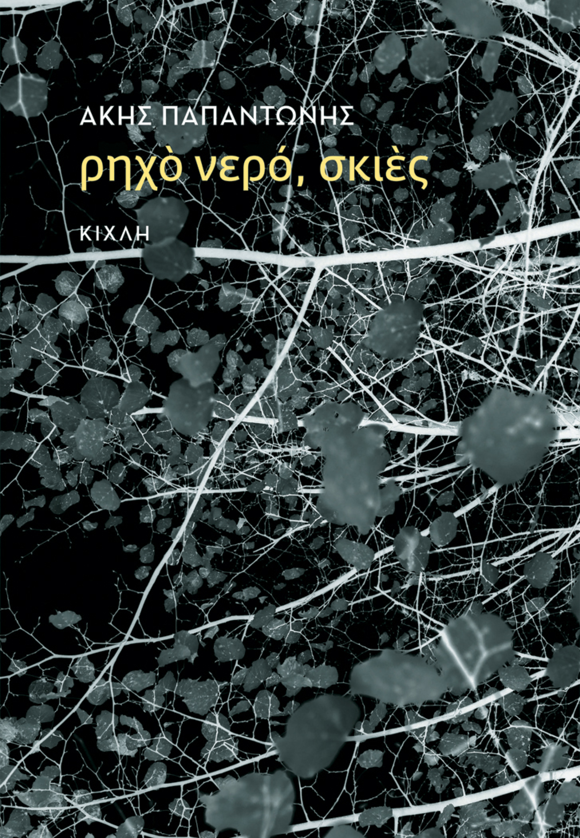«Ρηχό νερό, σκιές», Άκης Παπαντώνης, εκδ. Κίχλη