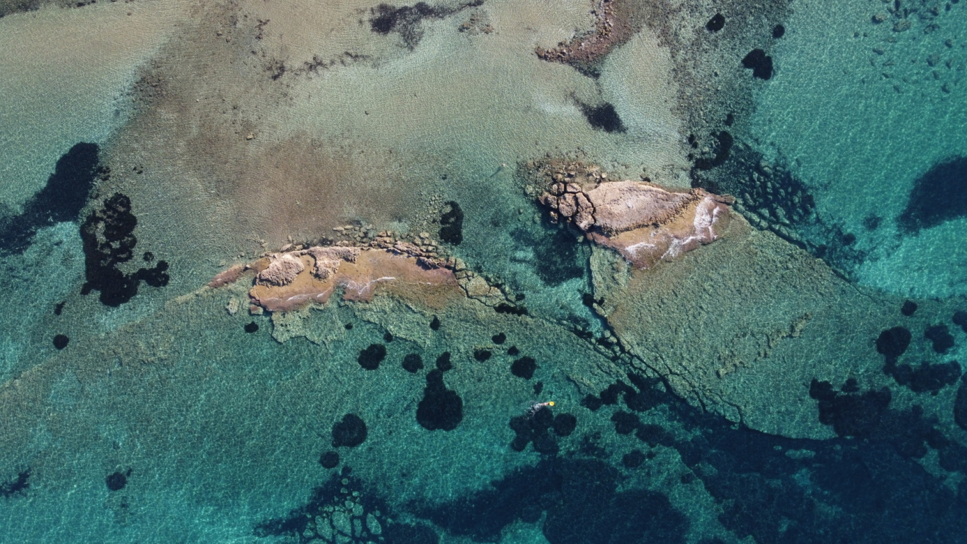 Η  Qualco μάς προσκαλεί να «ξεκολλήσουμε» από την καρέκλα μας και να συμμετάσχουμε σε μία από τις μονοήμερες εξορμήσεις με καταμαράν στην Τζια και την Αίγινα.