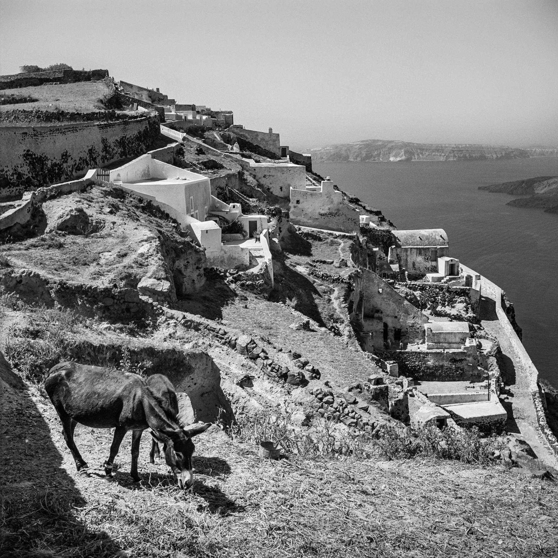 Σαντορίνη, Φηροστεφάνι. Ένας συνδυασμός σπιτιών και αγροκτημάτων κατά μήκος του δρόμου από τα Φηρά στο Ημεροβίγλι. ©Robert McCabe