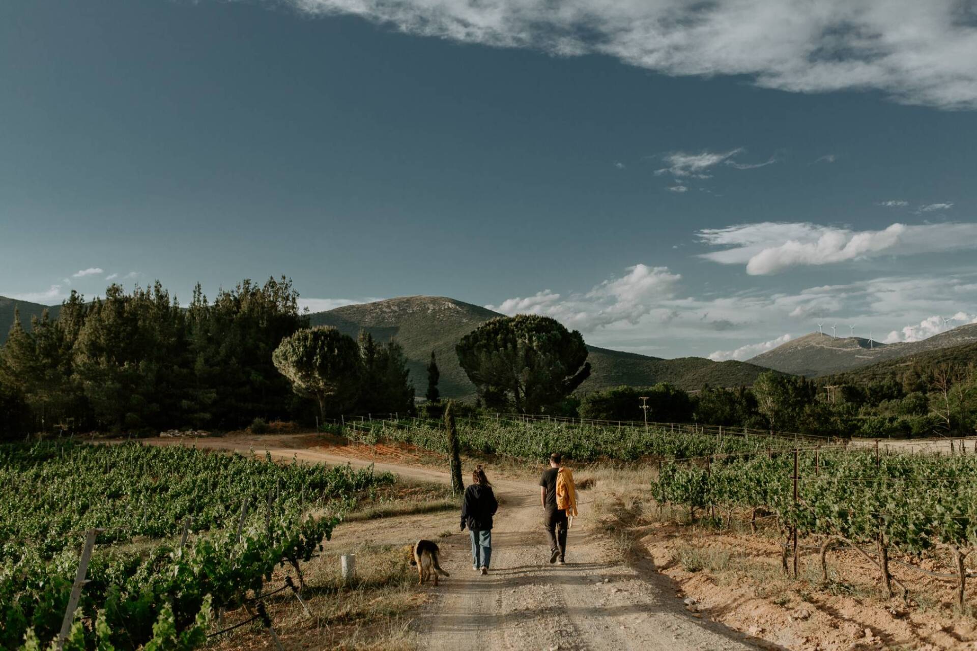 Κτήμα Τσέλεπος