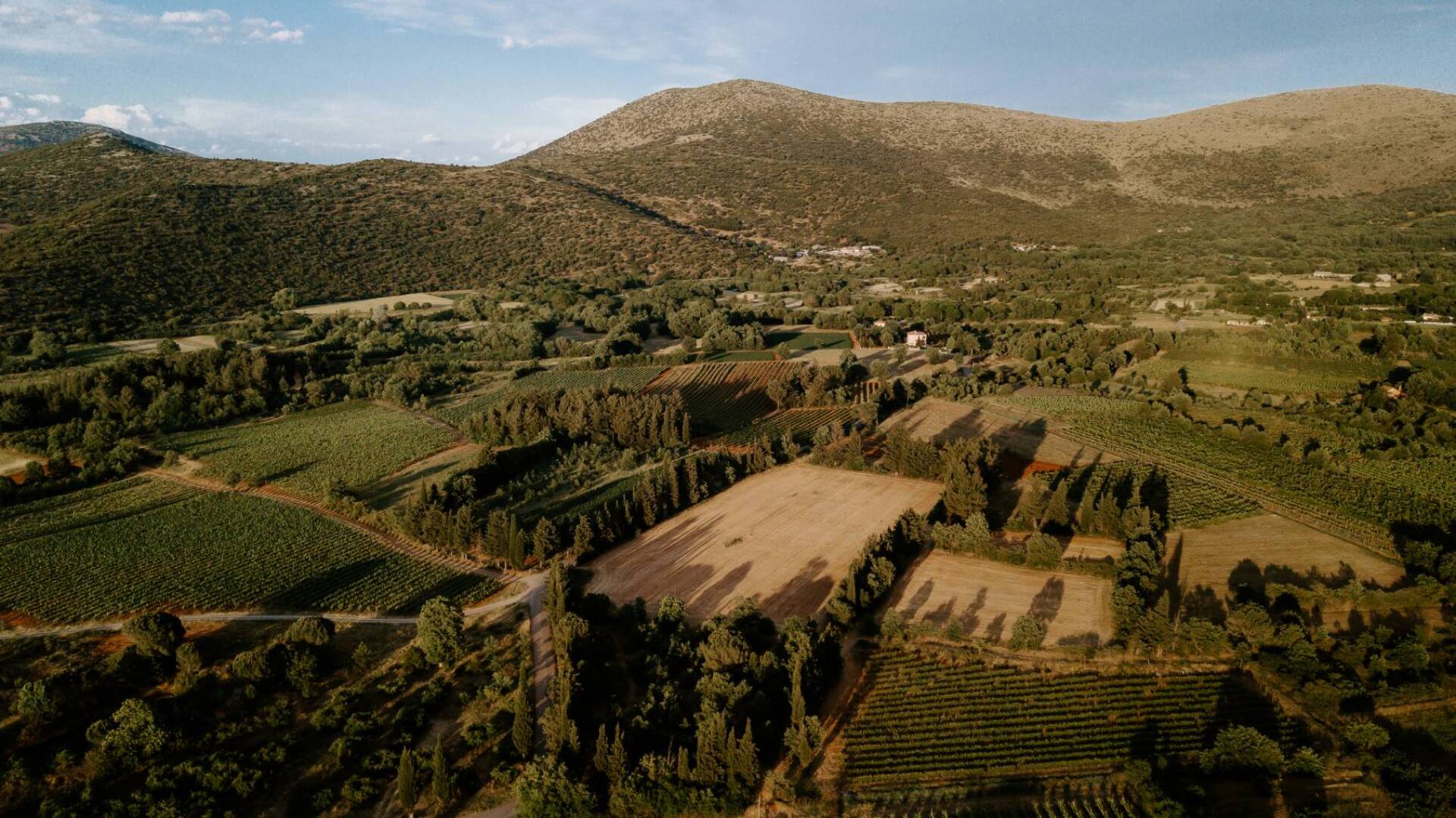 Κτήμα Τσέλεπος