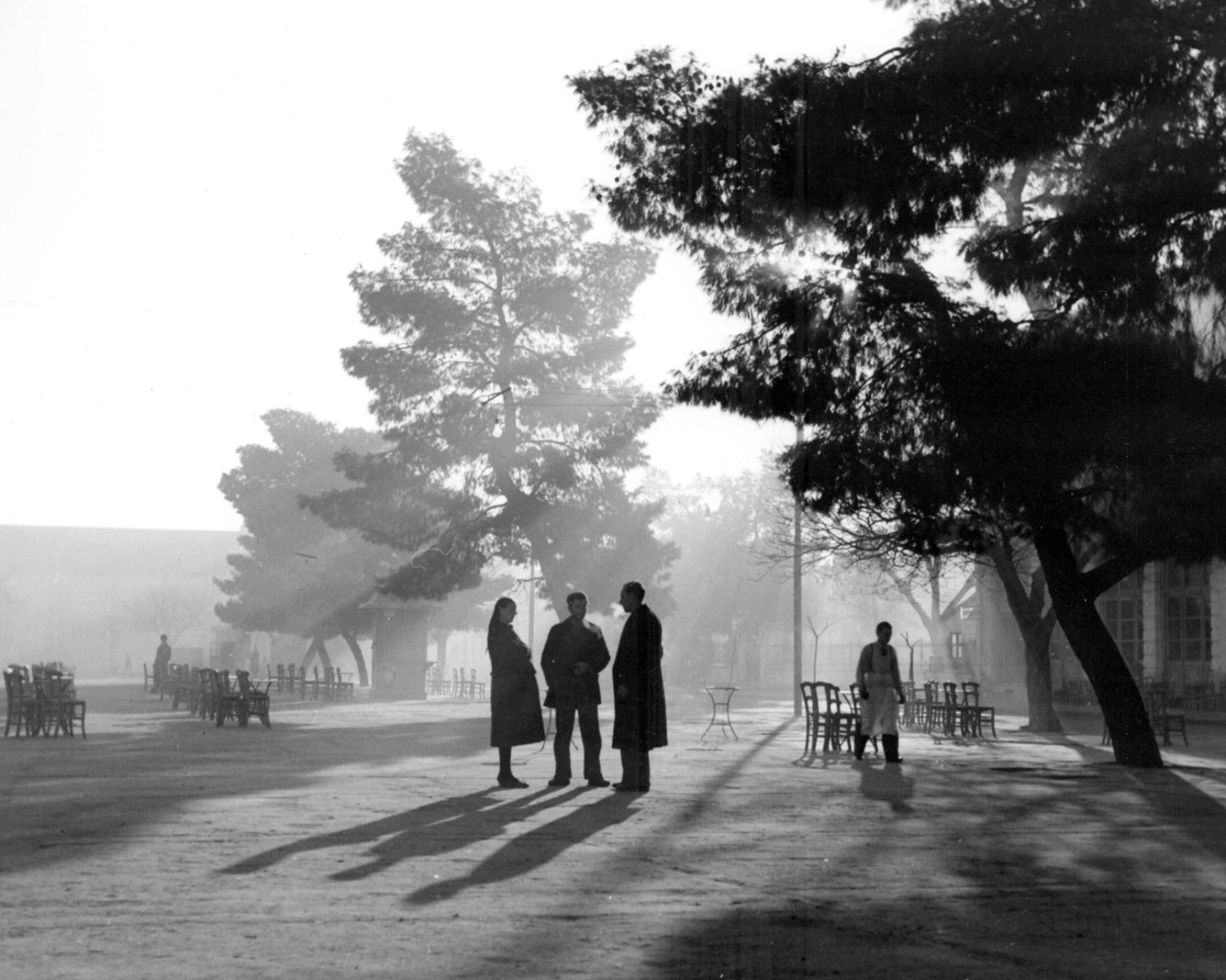 Τάκης Τλούπας