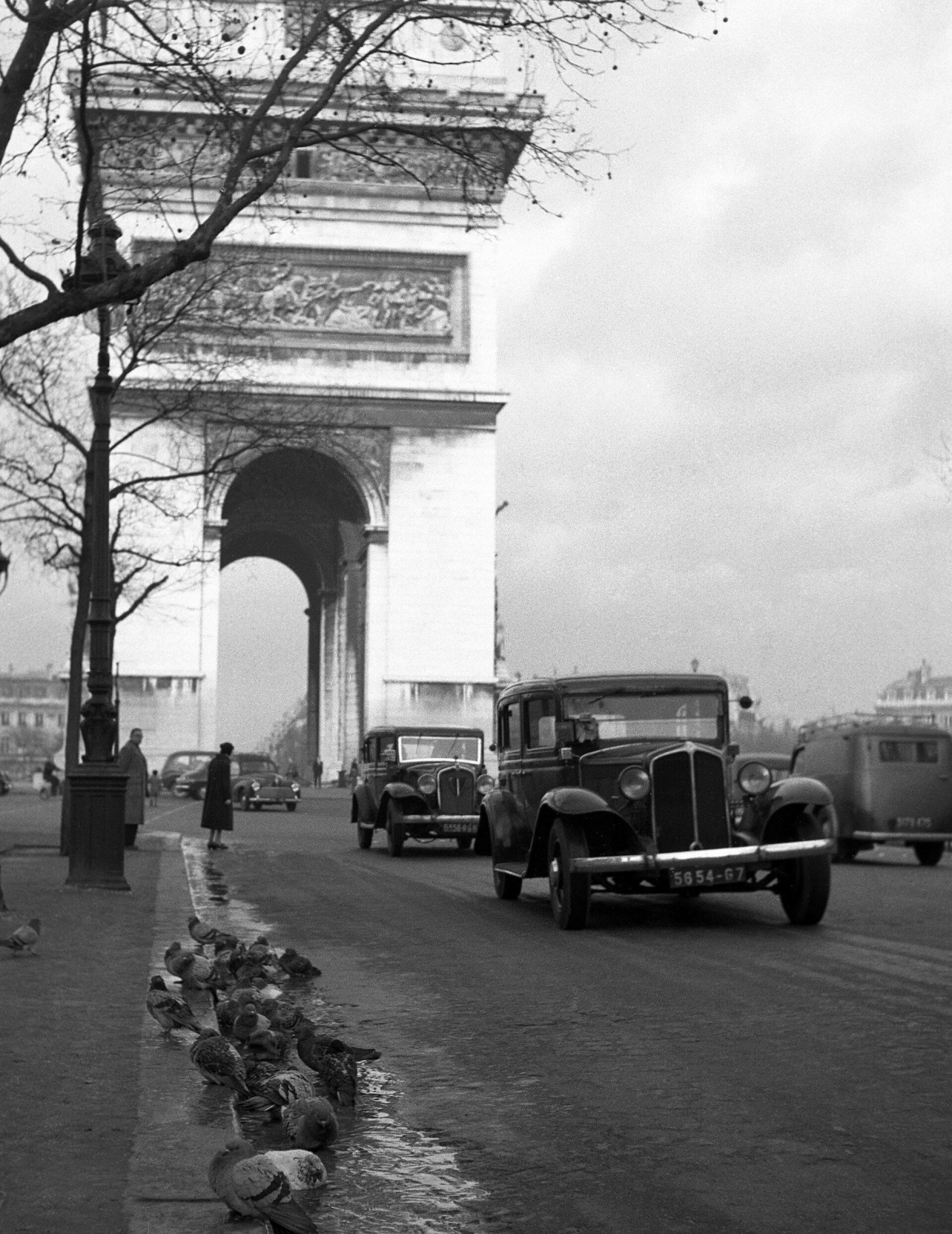 Τάκης Τλούπας