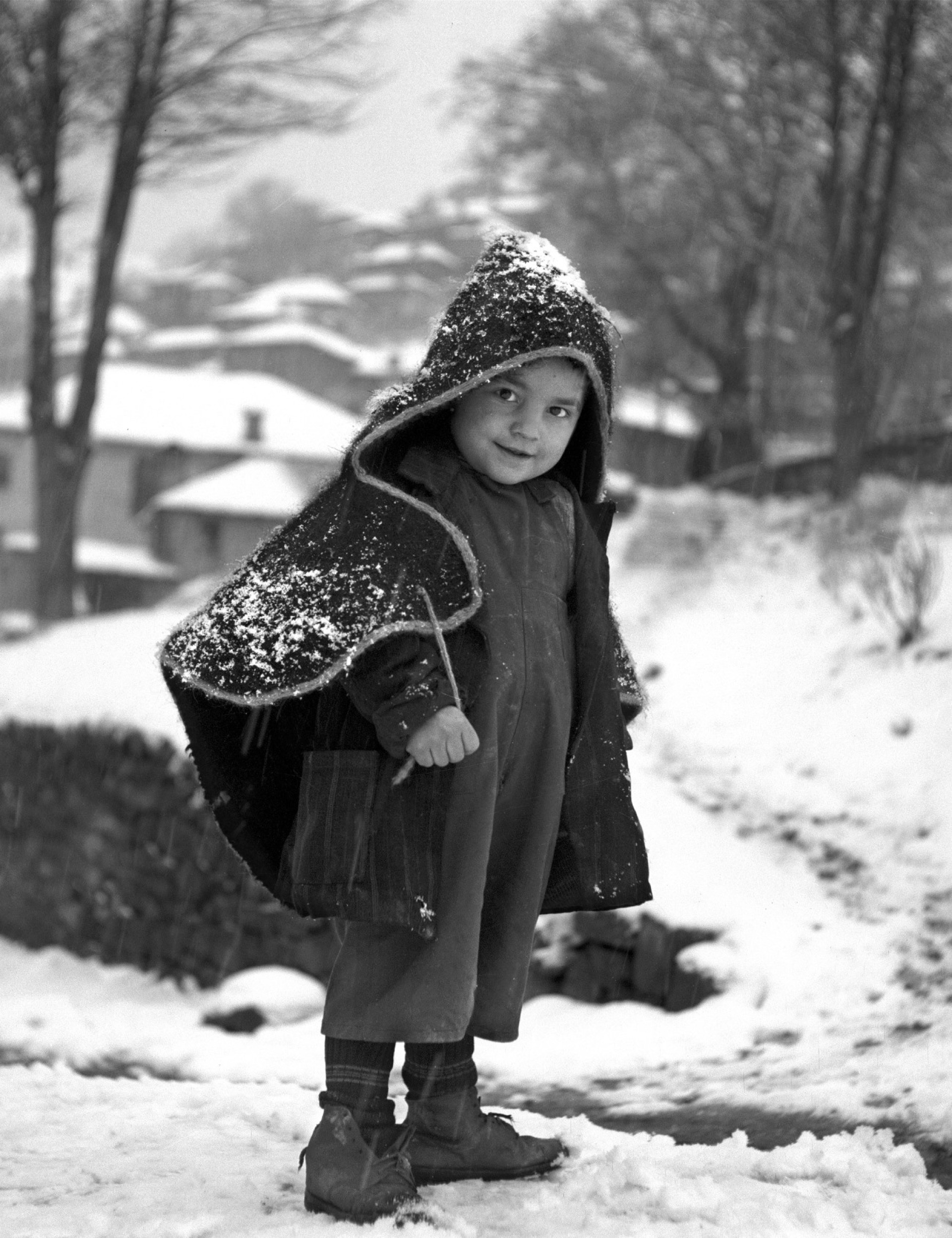 Τάκης Τλούπας