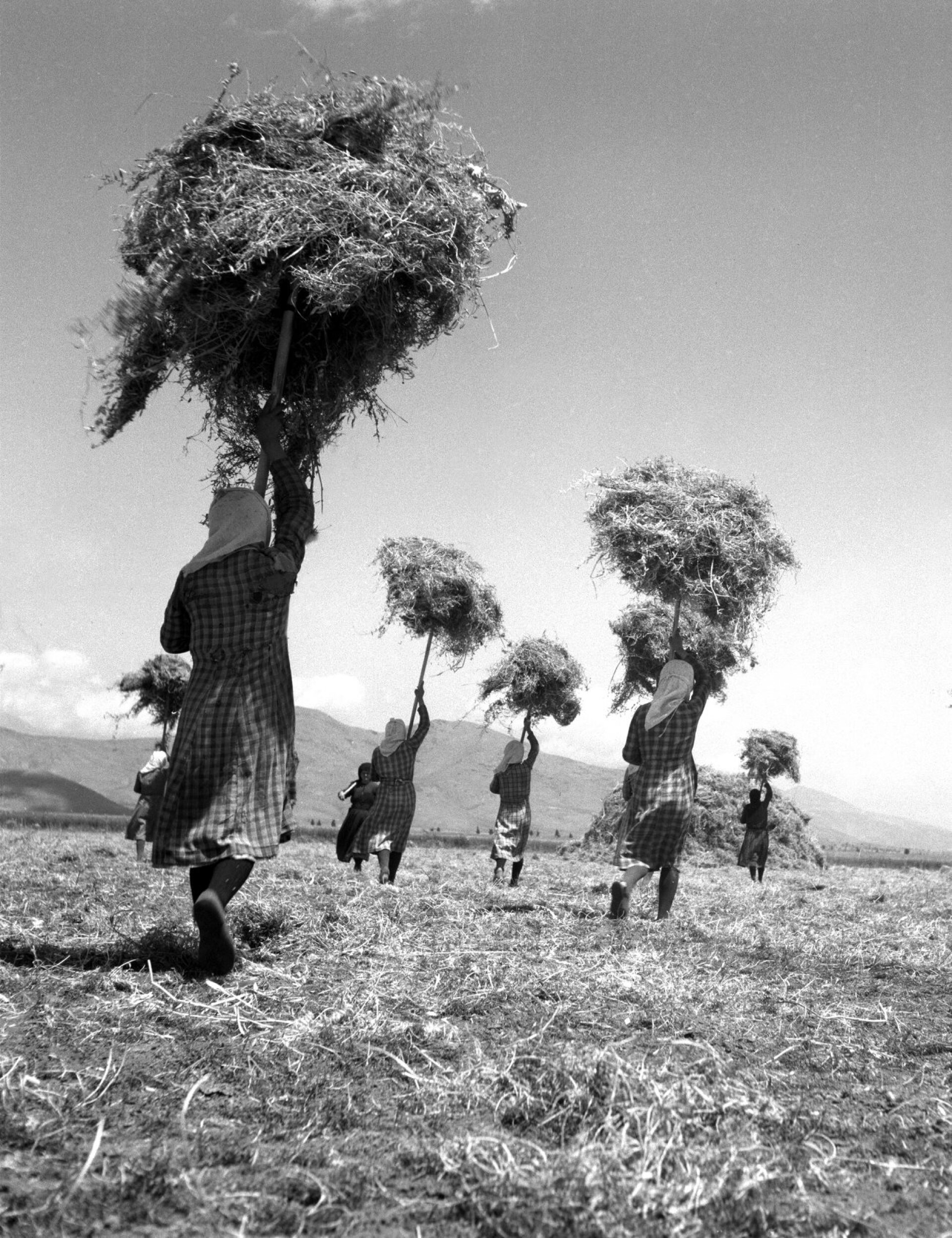 Τάκης Τλούπας