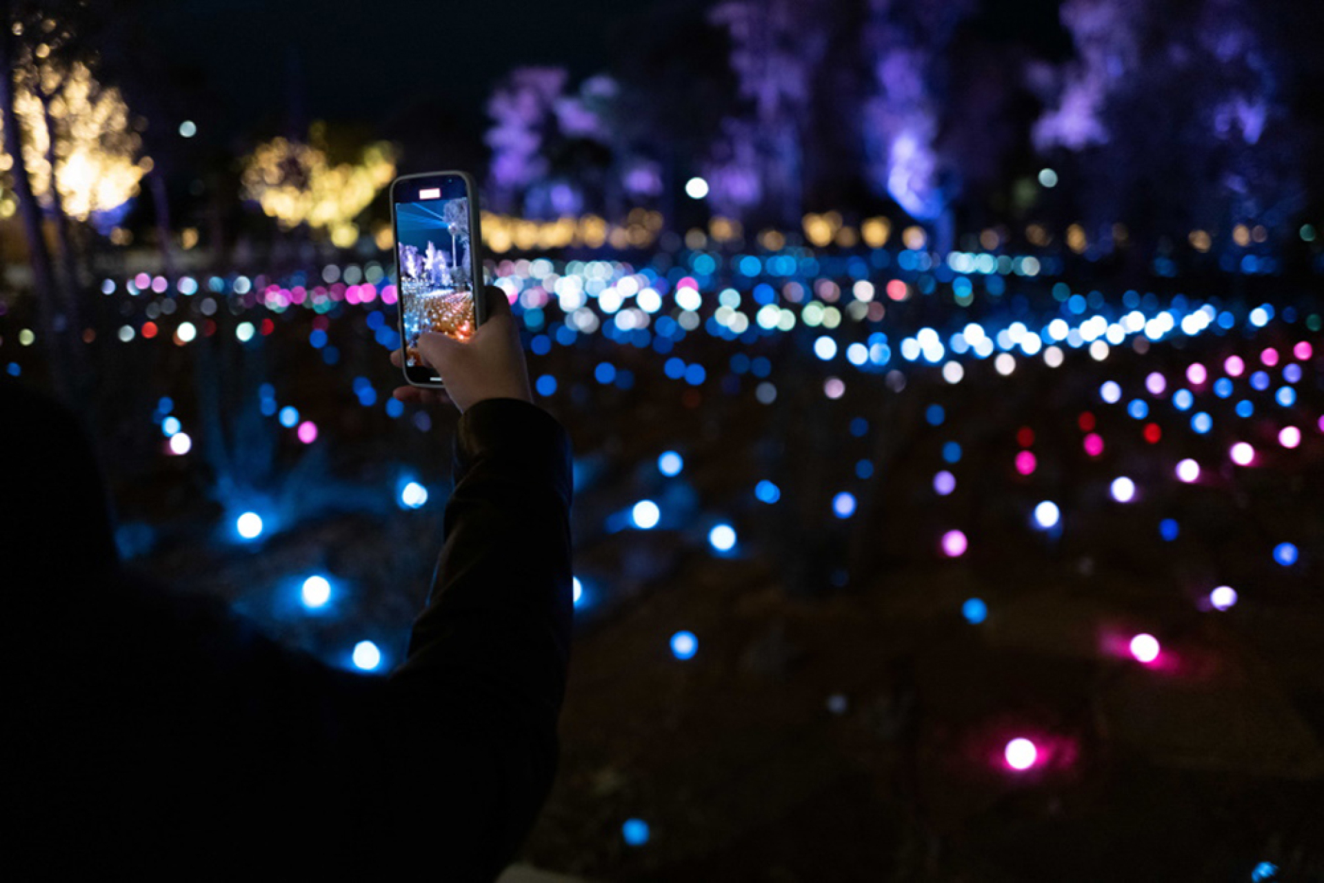 Το έργο τέχνης Helios τραβάει τα φλας των φωτογραφικών μηχανών.
