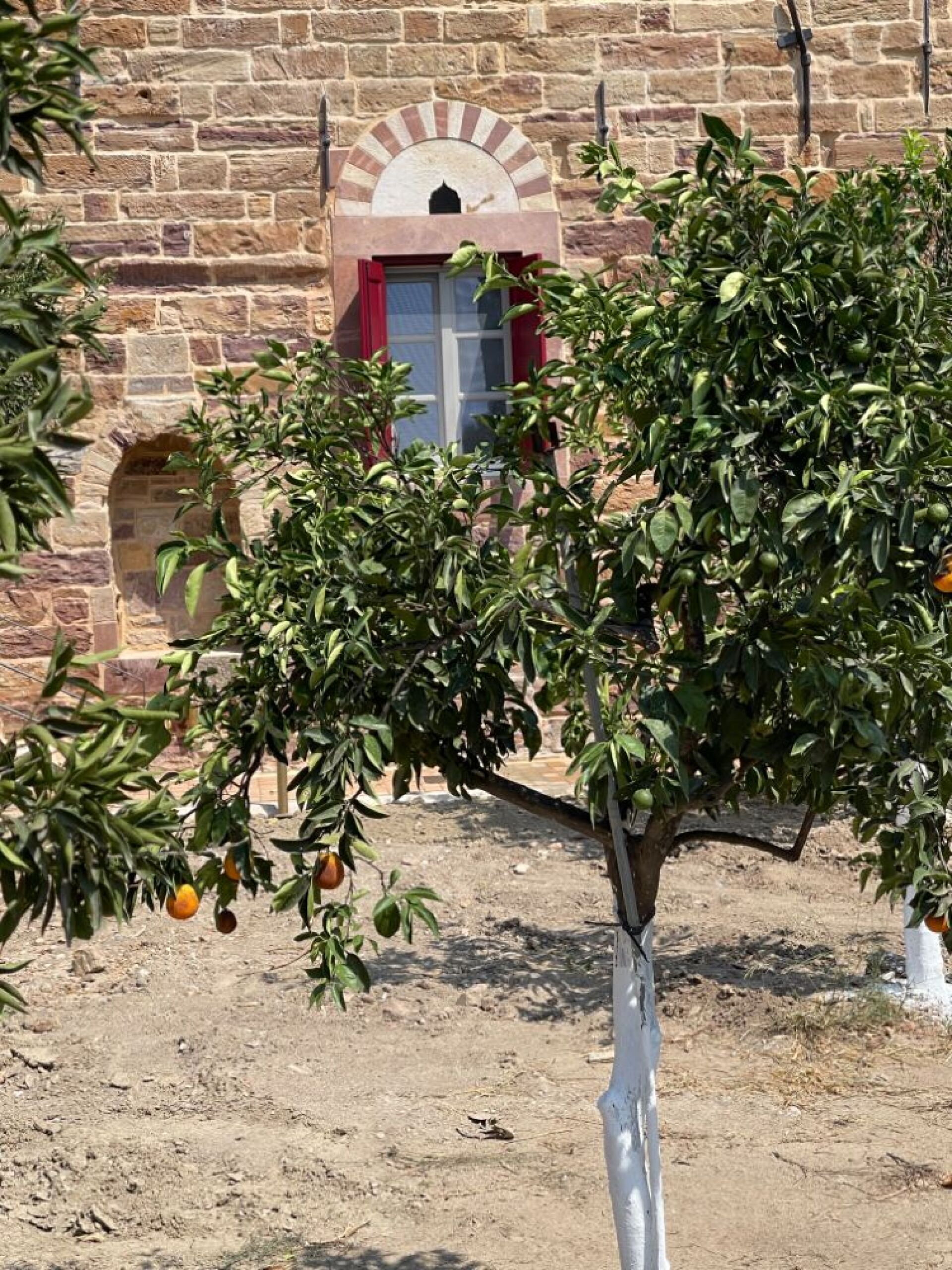 Tο σπίτι της Νιννέτας Βαφειά στην καρδιά του Κάμπου Xίου