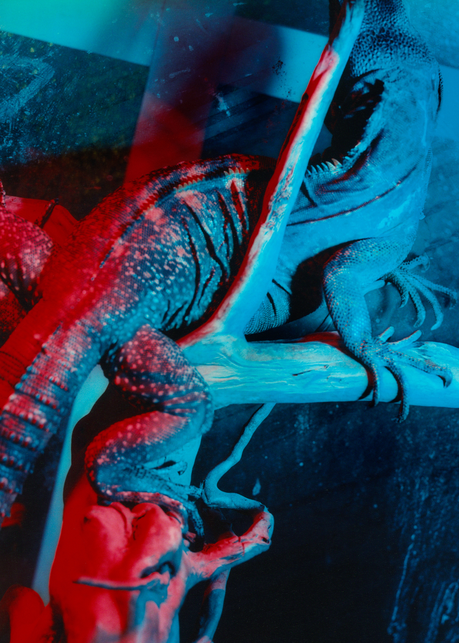 Γιακούζα: Συνέντευξη με τον φωτογράφο Theo Cottle για το λεύκωμά του «893 Yakuza: The Setting Sun»