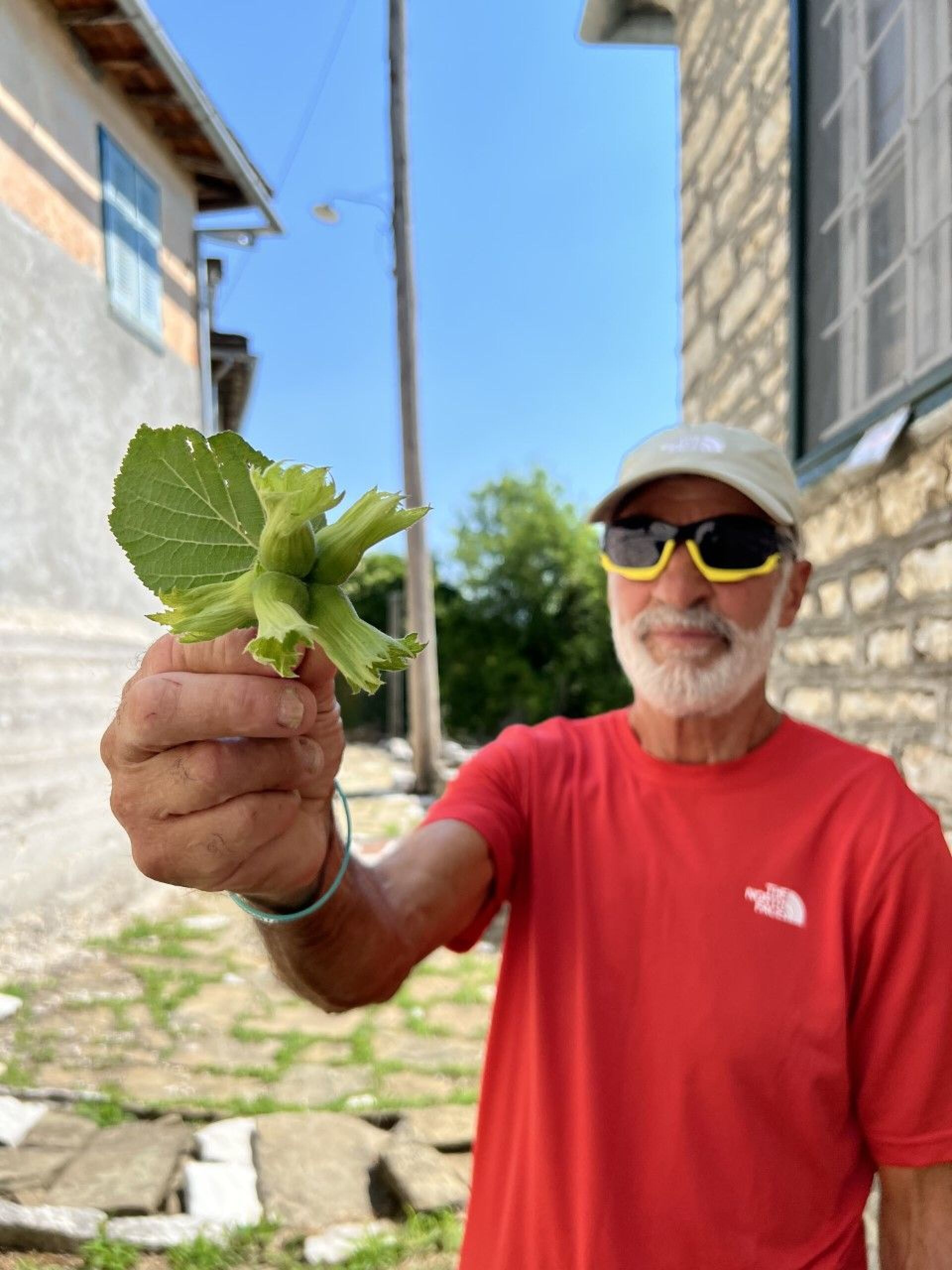 Κώστας Καλόγηρος 