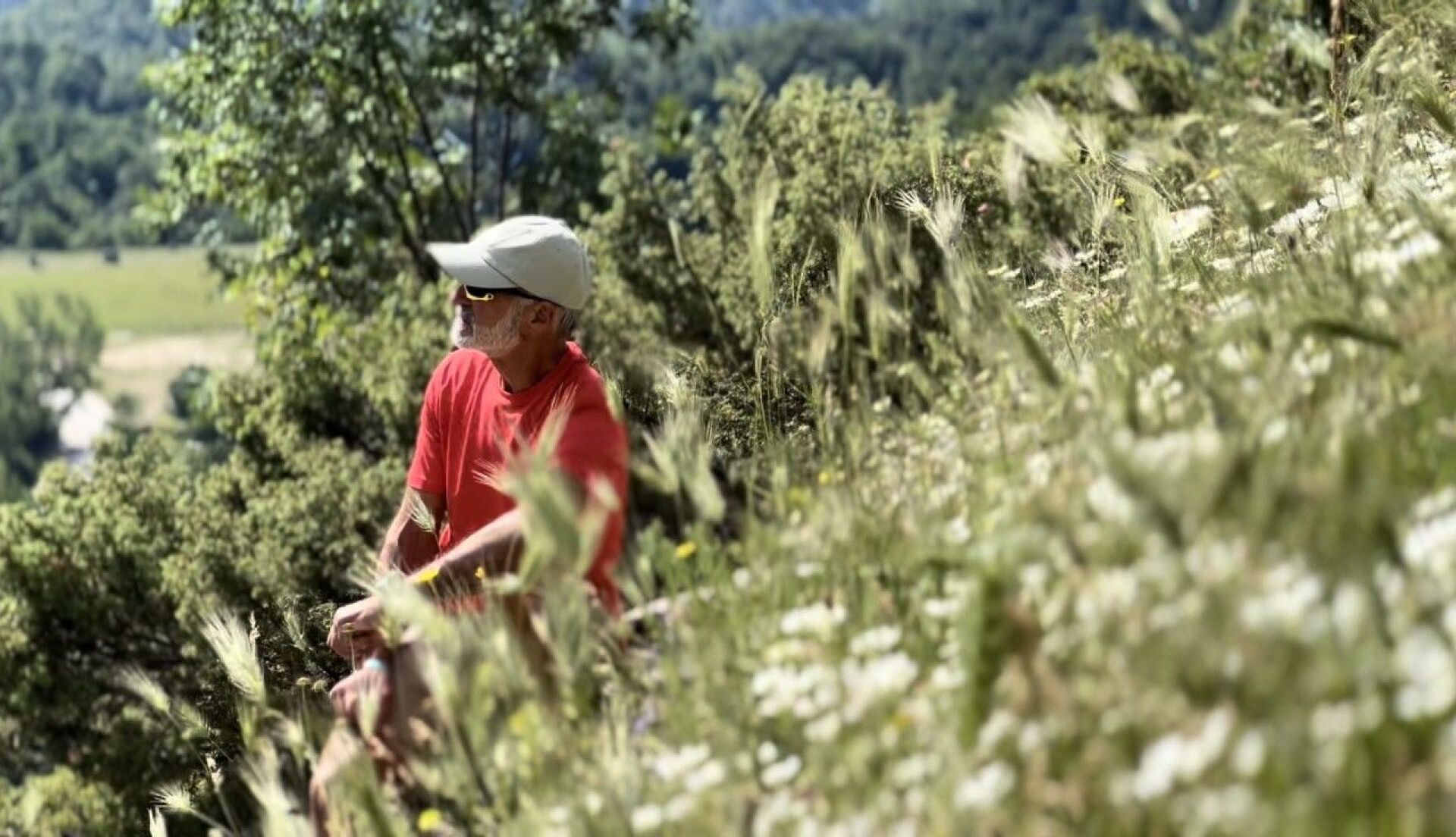 Κώστας Καλόγηρος 