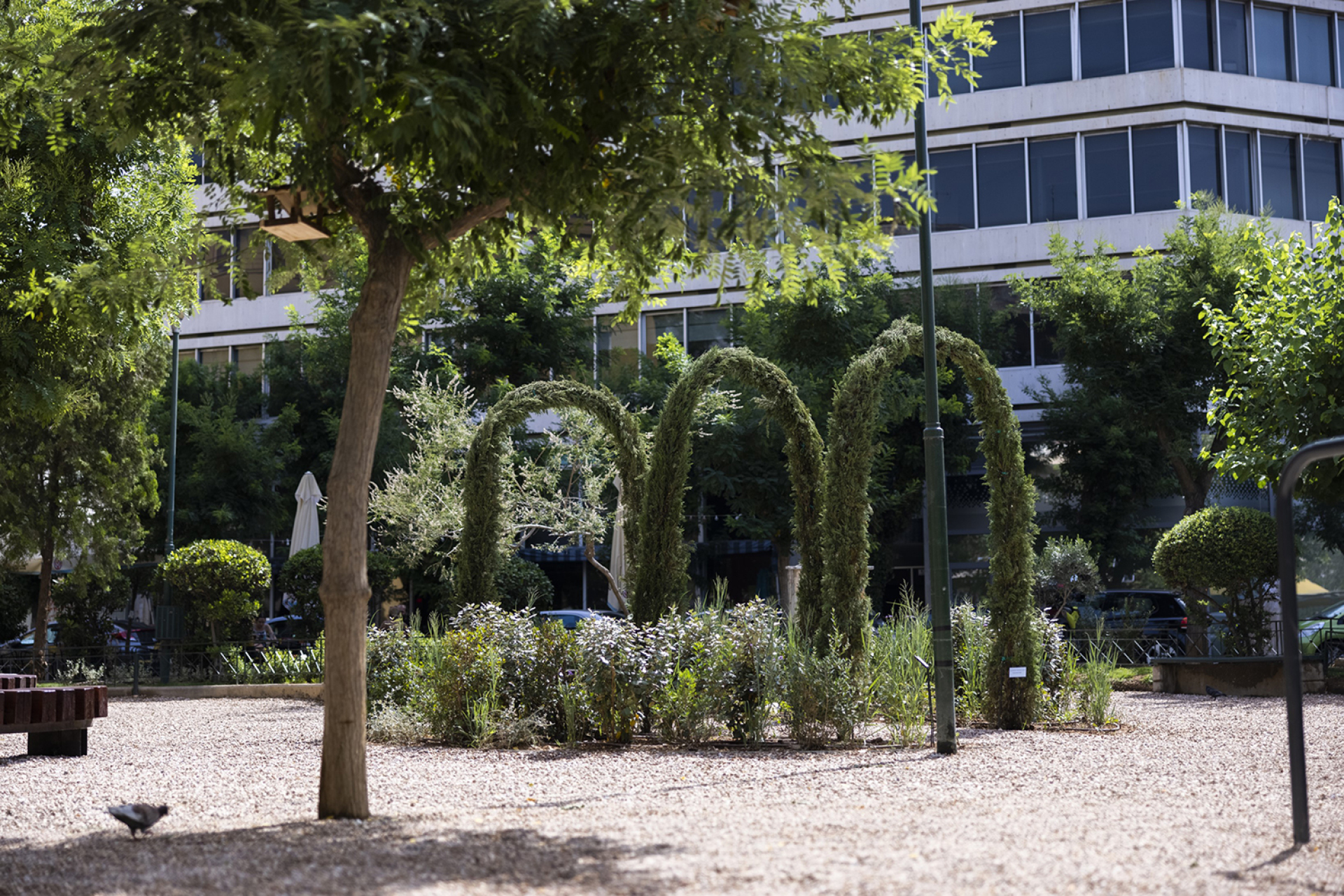 Ολυμπιακή Ζυθοποιία. 