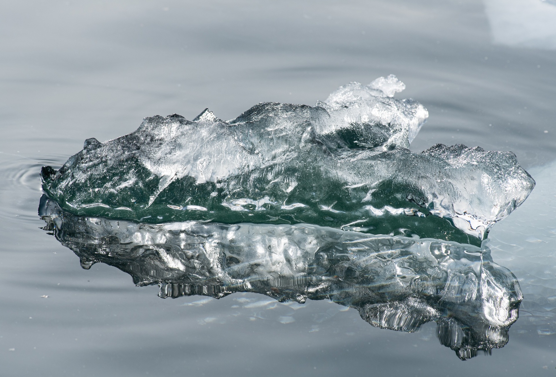Γροιλανδία: Στη Χώρα των Πάγων με τον φακό του Δημήτρη Τριανταφυλλίδη