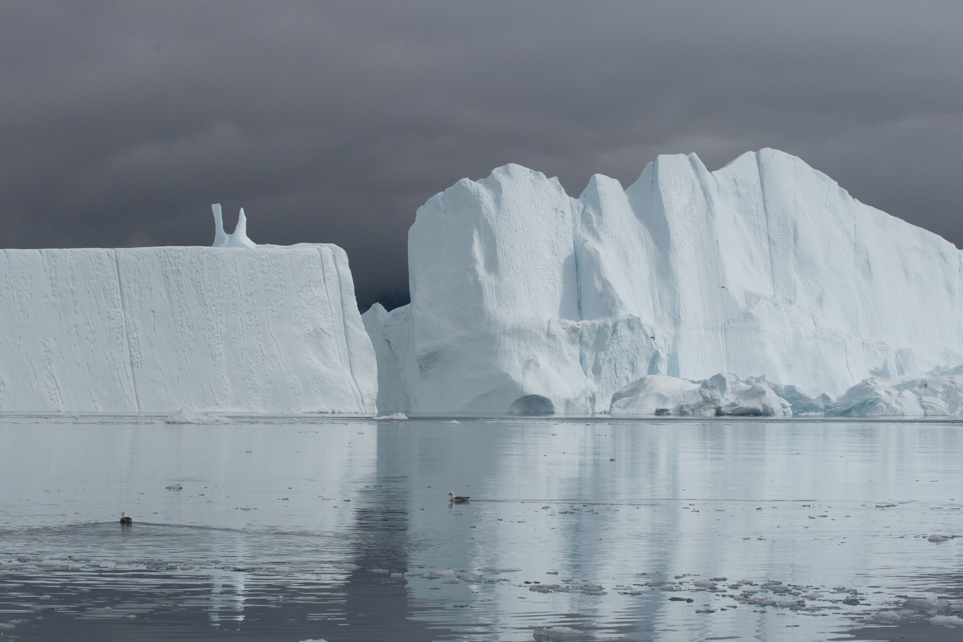 Γροιλανδία: Στη Χώρα των Πάγων με τον φακό του Δημήτρη Τριανταφυλλίδη