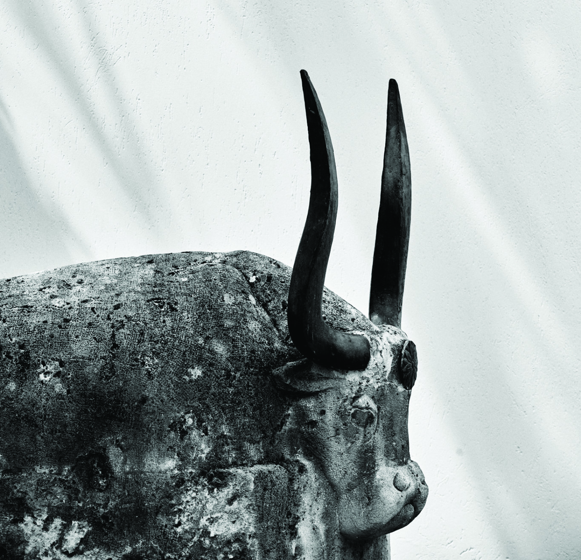 bluegr Hotels & Resorts