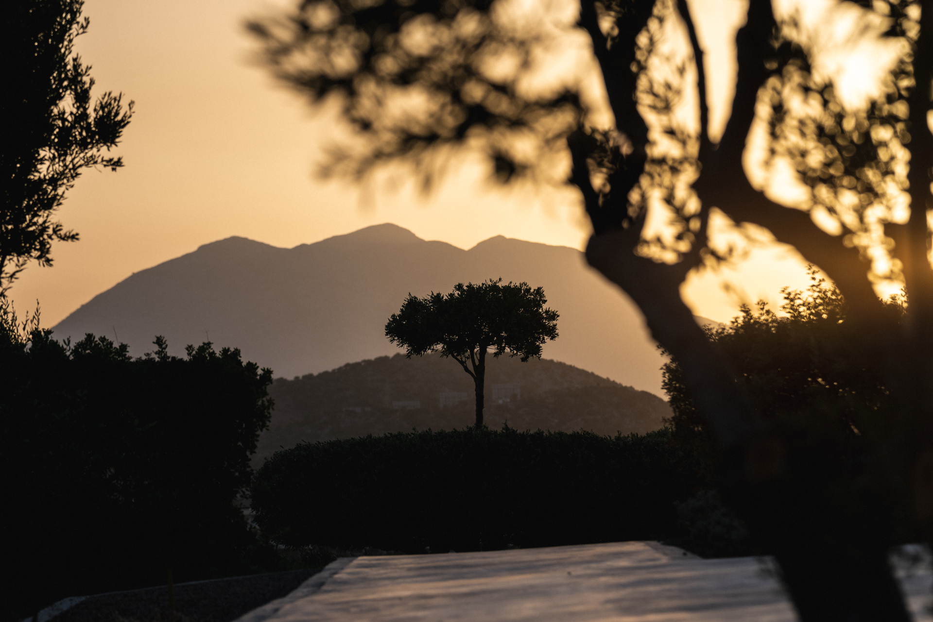 Minos Palace hotel &suites 