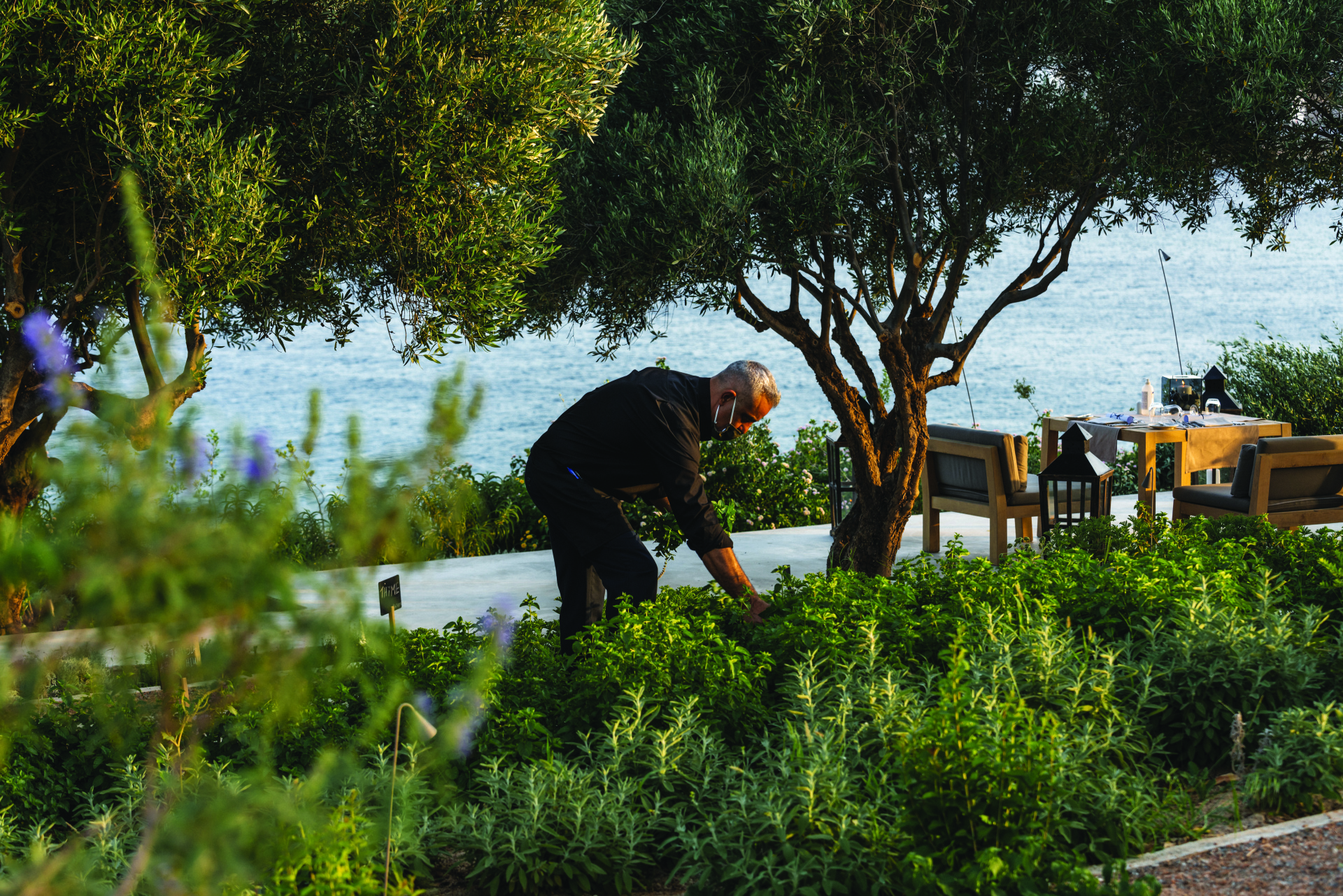 bluegr Hotels & Resorts