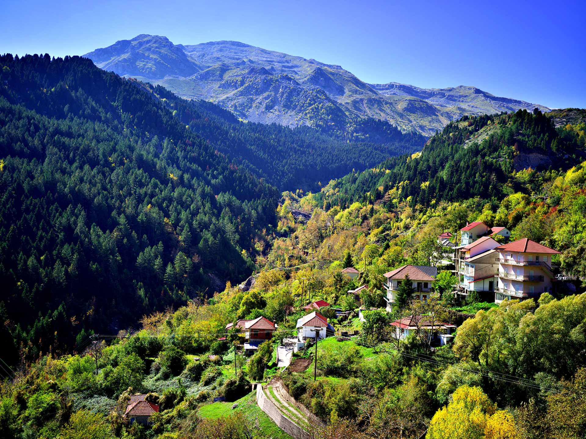 Θεοδώριανα  