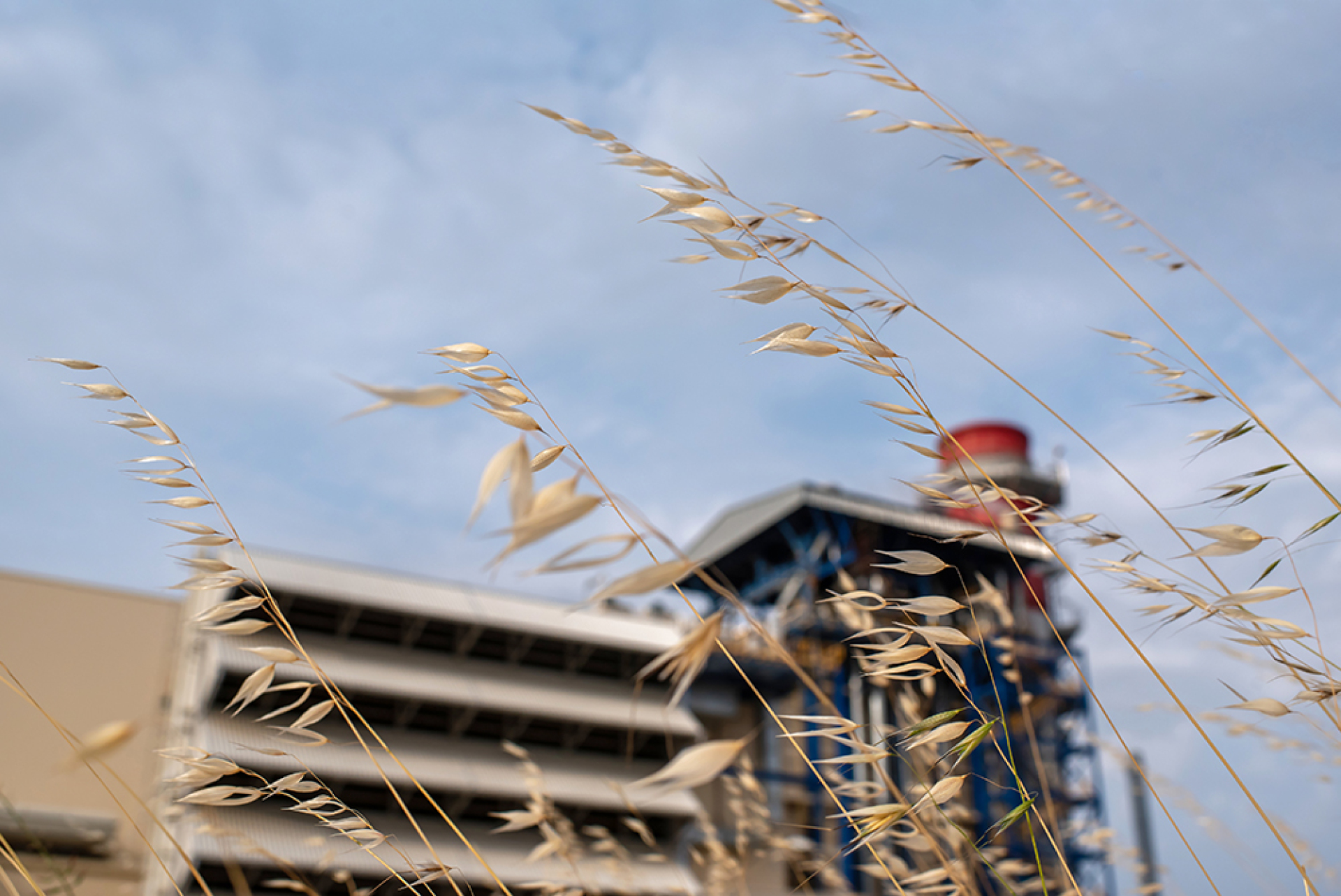 Οι εγκαταστάσεις της MYTILINEOS. 