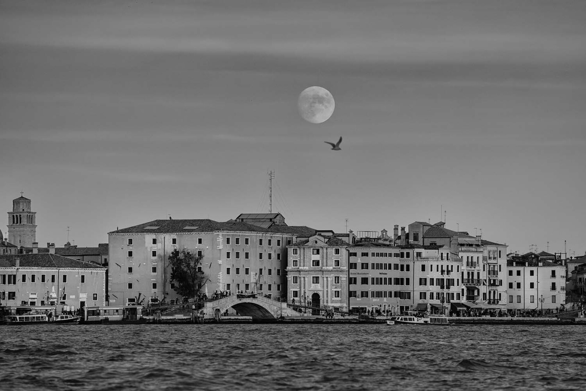 Η Βενετία φωτογραφημένη από τον Νίκο Αλιάγα. 