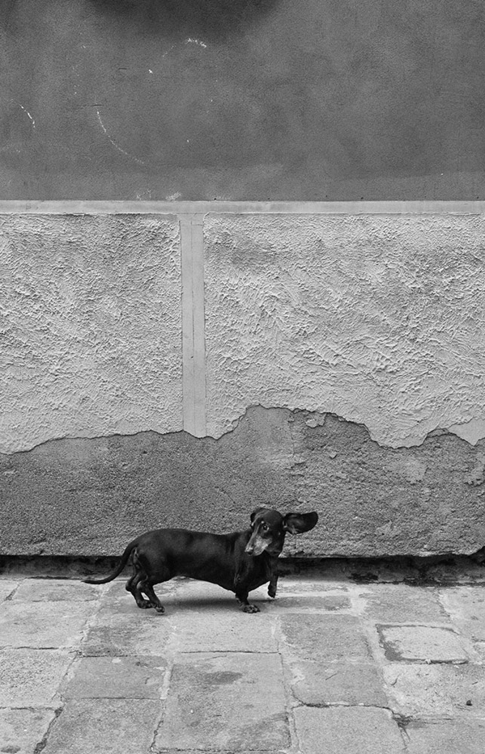 Φωτογραφία από την έκθεση Regards Vénitiens του Νίκου Αλιάγα.