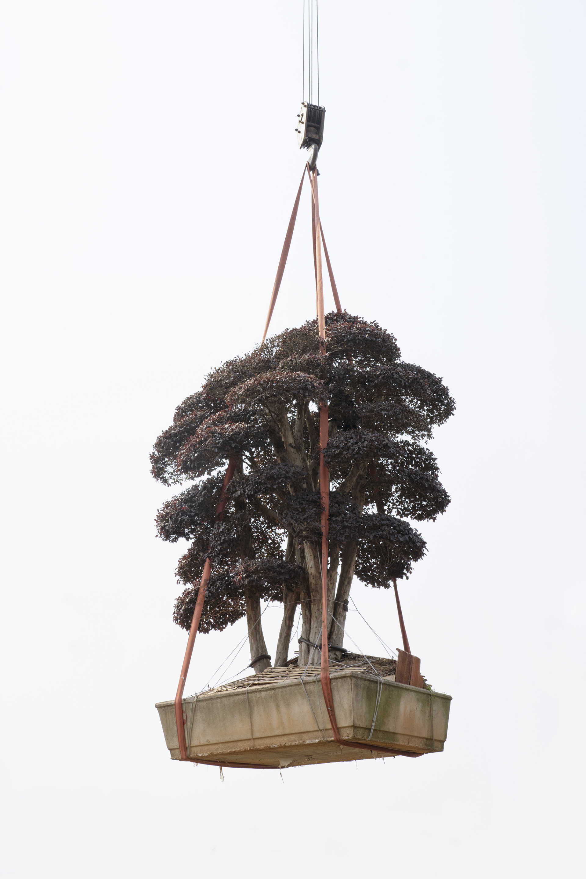 Sony World Photography Awards 2023: Ανακοινώθηκαν οι υποψηφιότητες και οι φιναλίστ στις 10 κατηγορίες του διαγωνισμού - Οι εντυπωσιακότερες εικόνες.