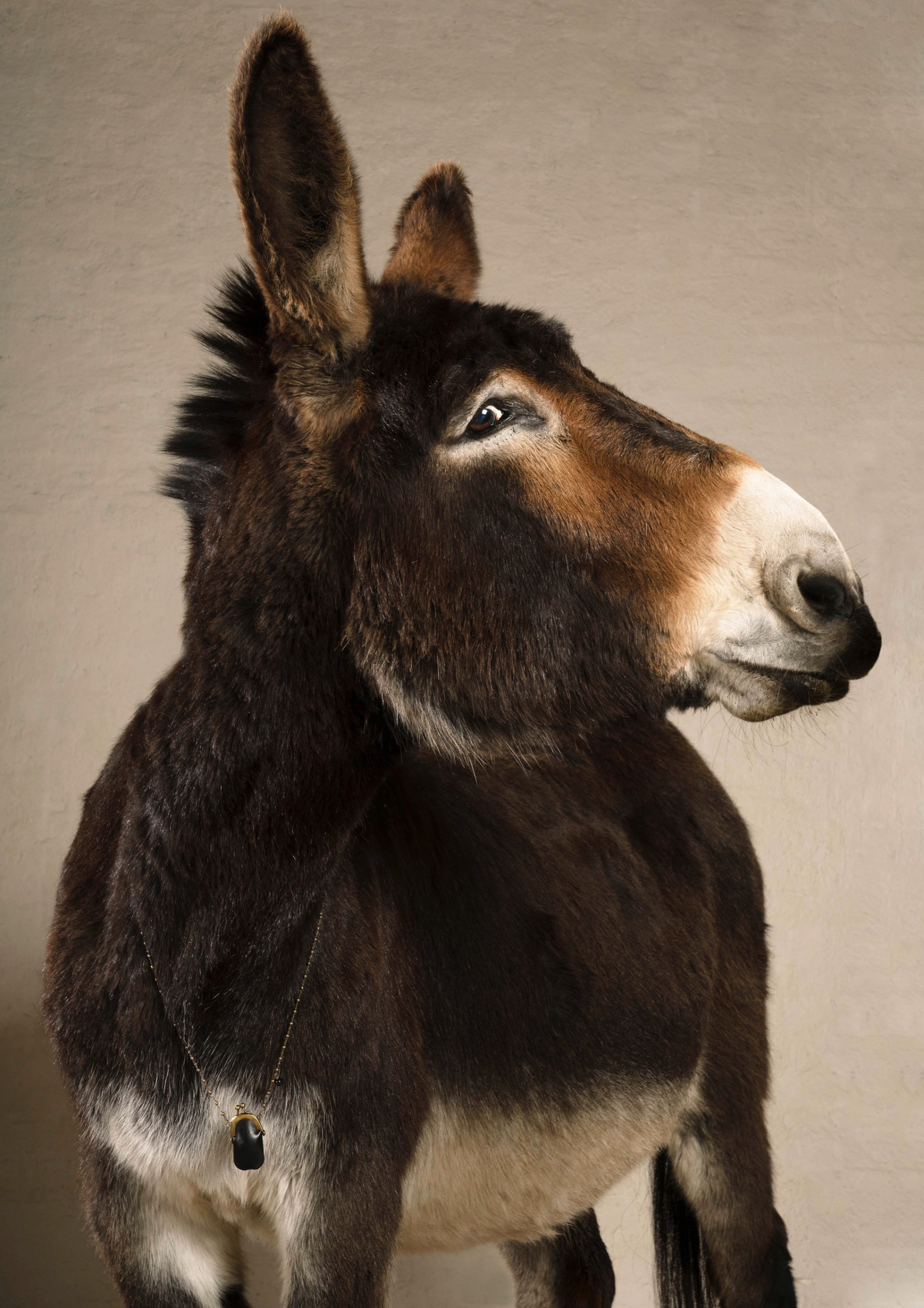 Sony World Photography Awards 2023: Ανακοινώθηκαν οι υποψηφιότητες και οι φιναλίστ στις 10 κατηγορίες του διαγωνισμού - Οι εντυπωσιακότερες εικόνες.