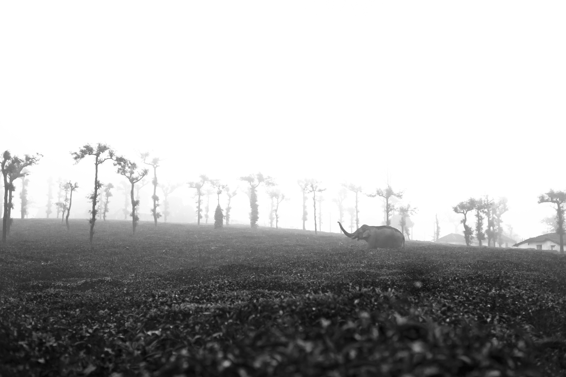 Sony World Photography Awards 2023: Ανακοινώθηκαν οι υποψηφιότητες και οι φιναλίστ στις 10 κατηγορίες του διαγωνισμού - Οι εντυπωσιακότερες εικόνες.