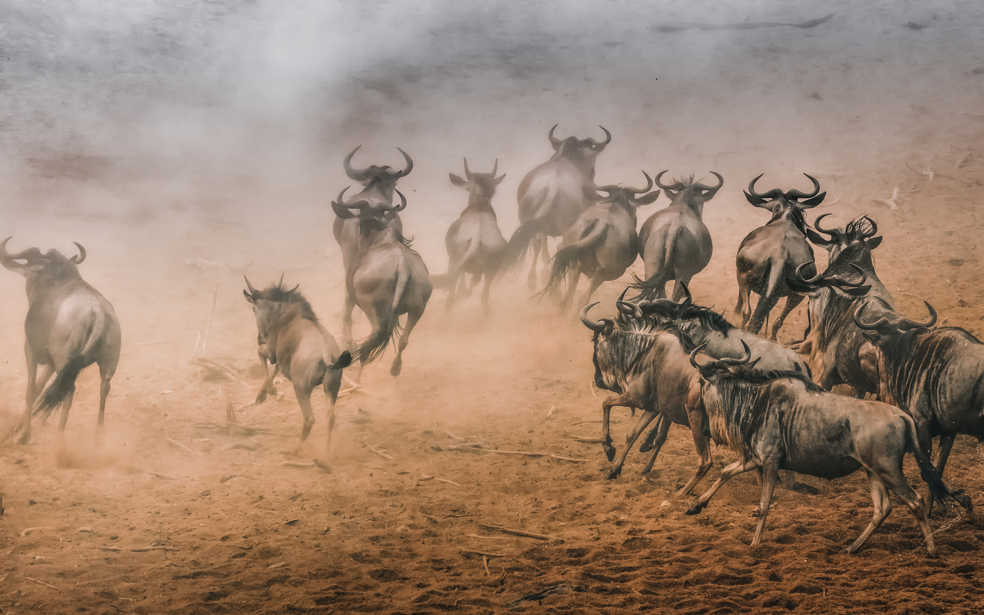 Sony World Photography Awards 2023: Ανακοινώθηκαν οι υποψηφιότητες και οι φιναλίστ στις 10 κατηγορίες του διαγωνισμού - Οι εντυπωσιακότερες εικόνες.