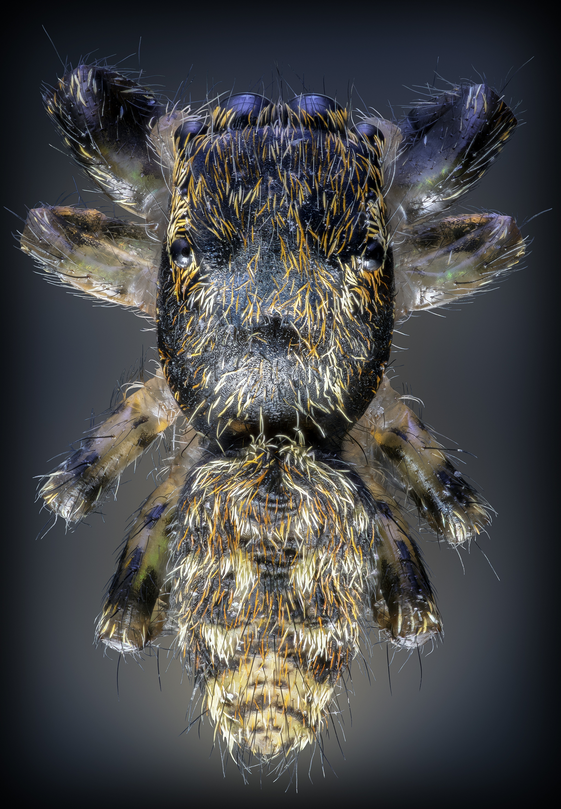 Sony World Photography Awards 2023: Ανακοινώθηκαν οι υποψηφιότητες και οι φιναλίστ στις 10 κατηγορίες του διαγωνισμού - Οι εντυπωσιακότερες εικόνες.