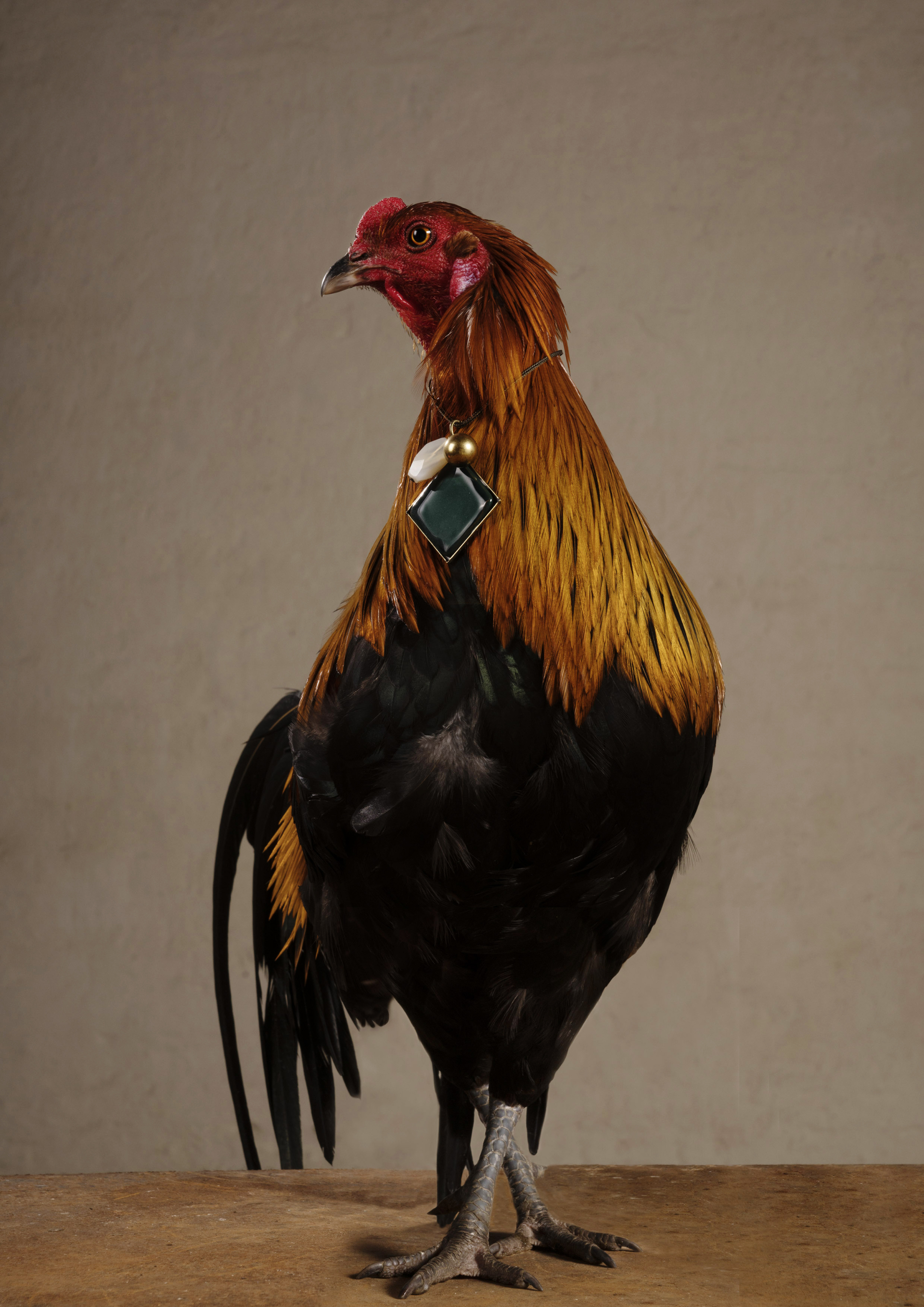 Sony World Photography Awards 2023: Ανακοινώθηκαν οι υποψηφιότητες και οι φιναλίστ στις 10 κατηγορίες του διαγωνισμού - Οι εντυπωσιακότερες εικόνες.