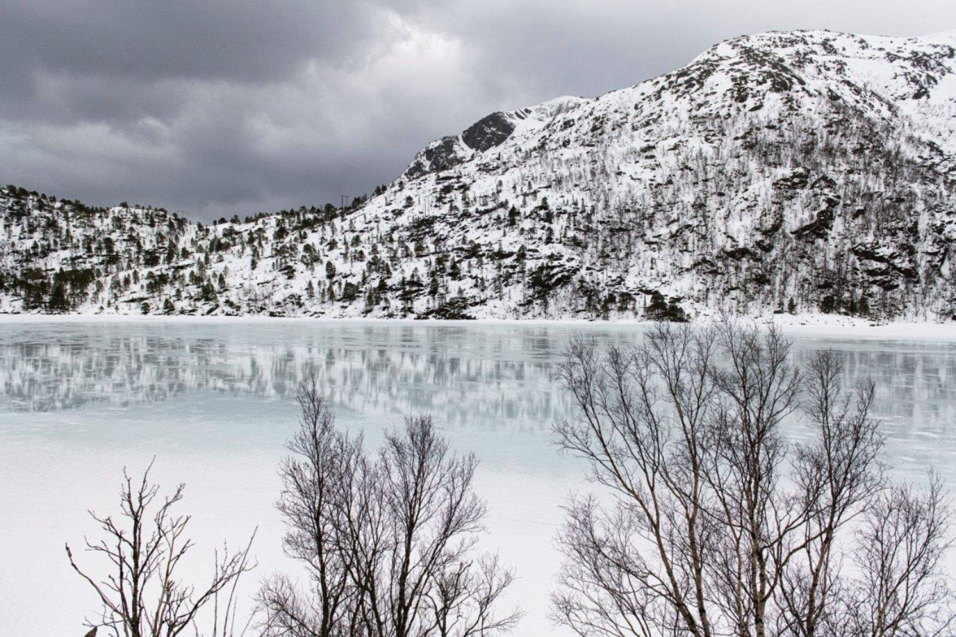Ο Αρκτικός Κύκλος μέσα από τη φωτογραφική ματιά του Δημήτρη Τριανταφυλλίδη