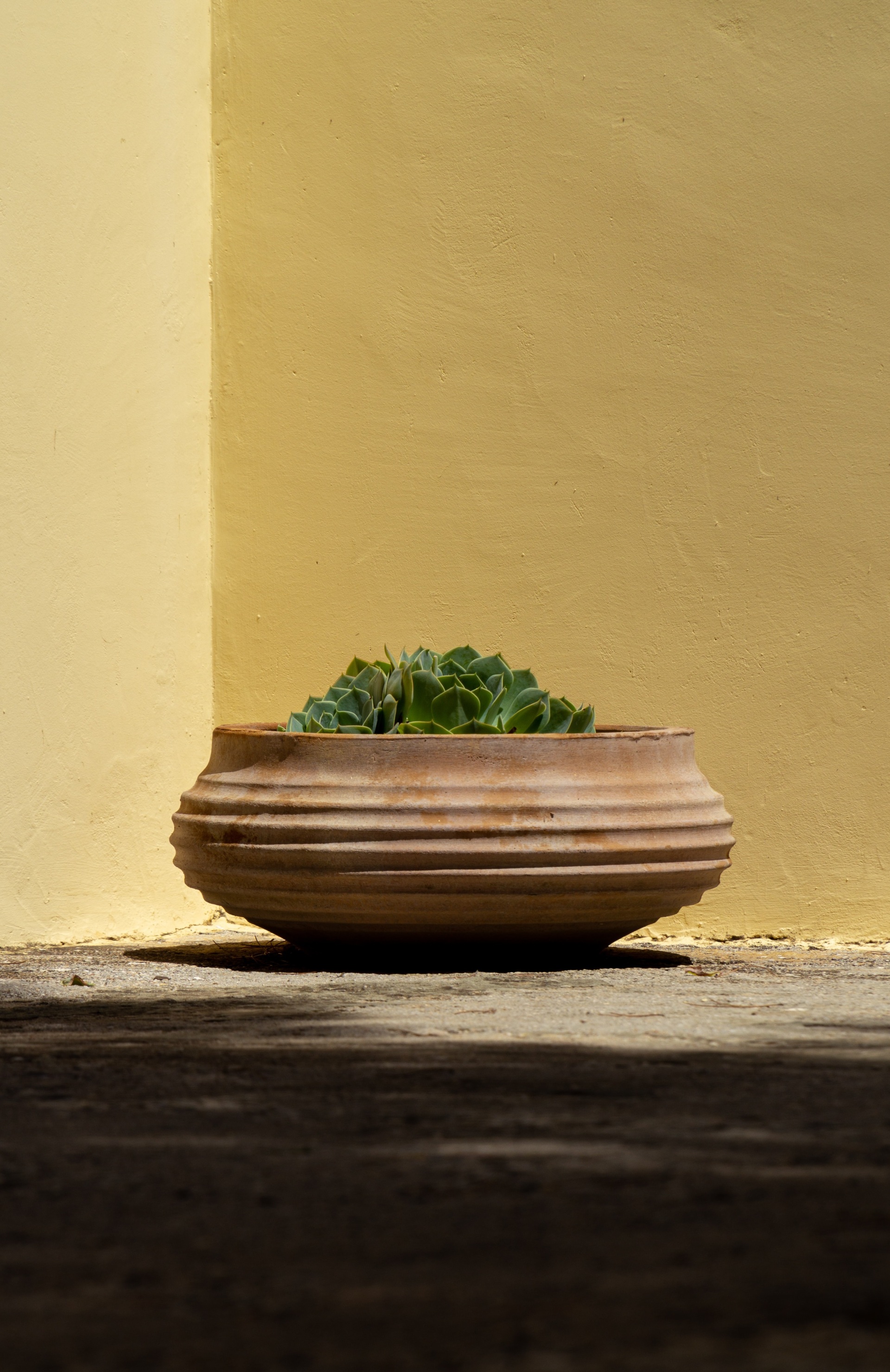 Μια θεαματική περιήγηση στα ελληνικά νησιά και σε 25 ξεχωριστούς τουριστικούς προορισμούς της χώρας μας, μέσα από το πρίσμα του National Geographic.