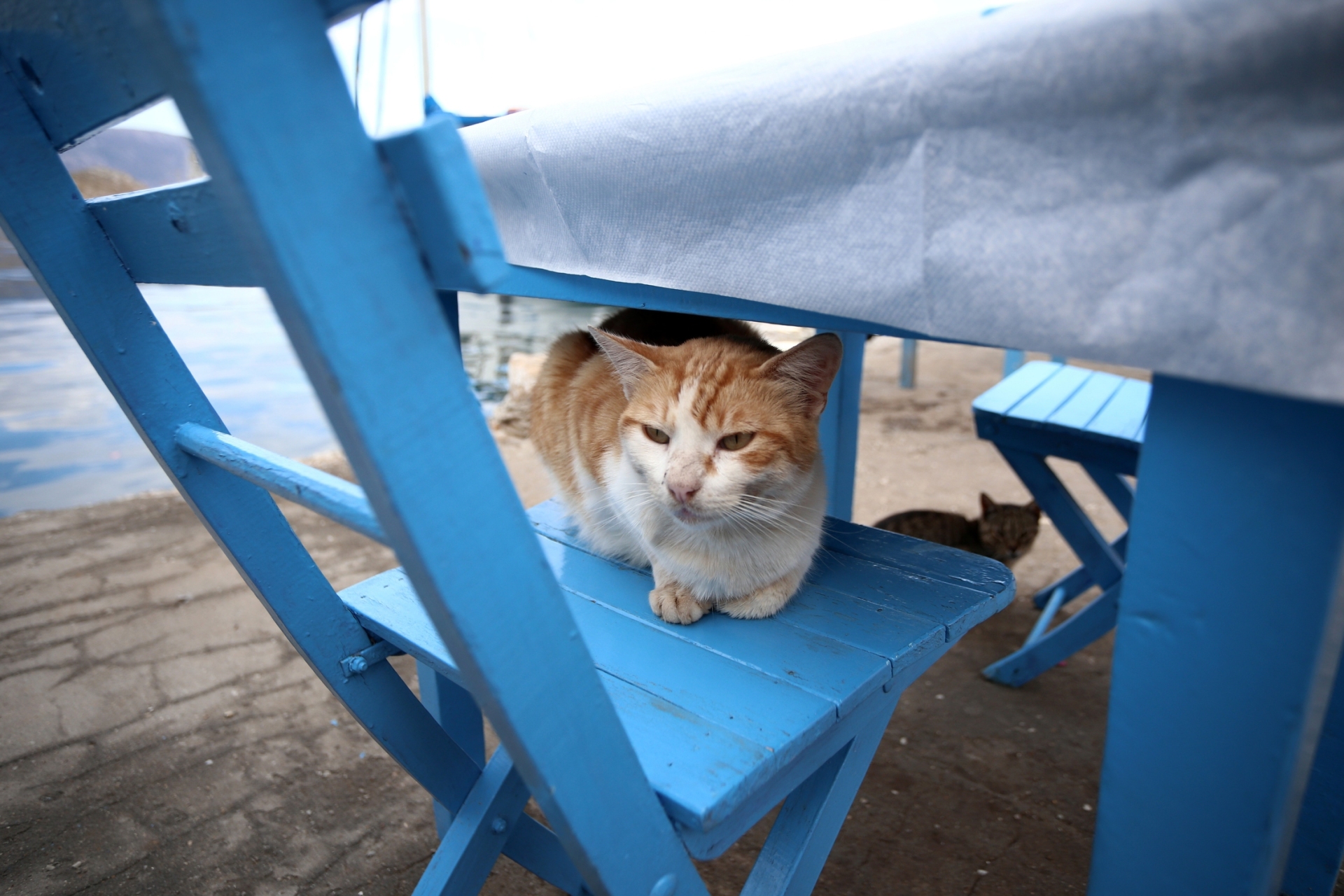 Μια συναρπαστική περιήγηση στα ελληνικά νησιά και σε 25 ξεχωριστούς τουριστικούς προορισμούς της χώρας μας, μέσα από το πρίσμα του National Geographic.